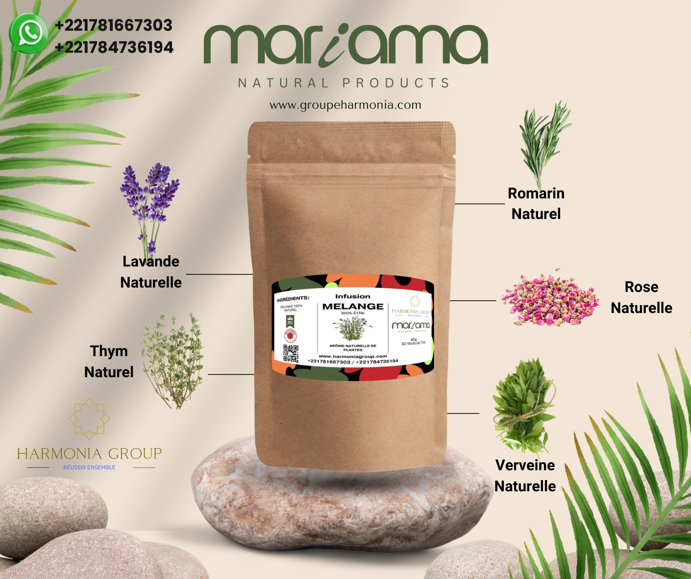 Infusion Mélange Mariama