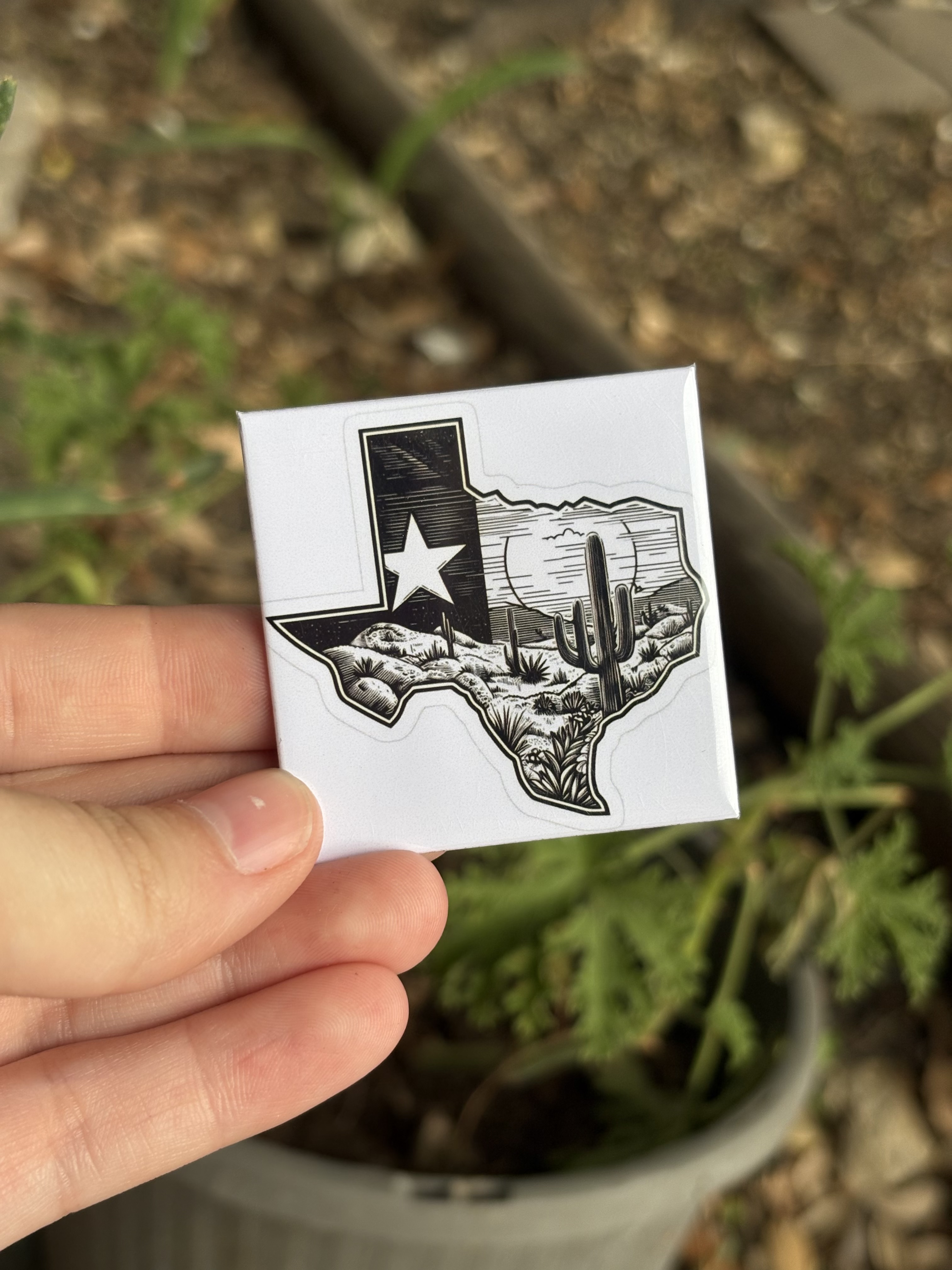 Texas Desert Landscape 