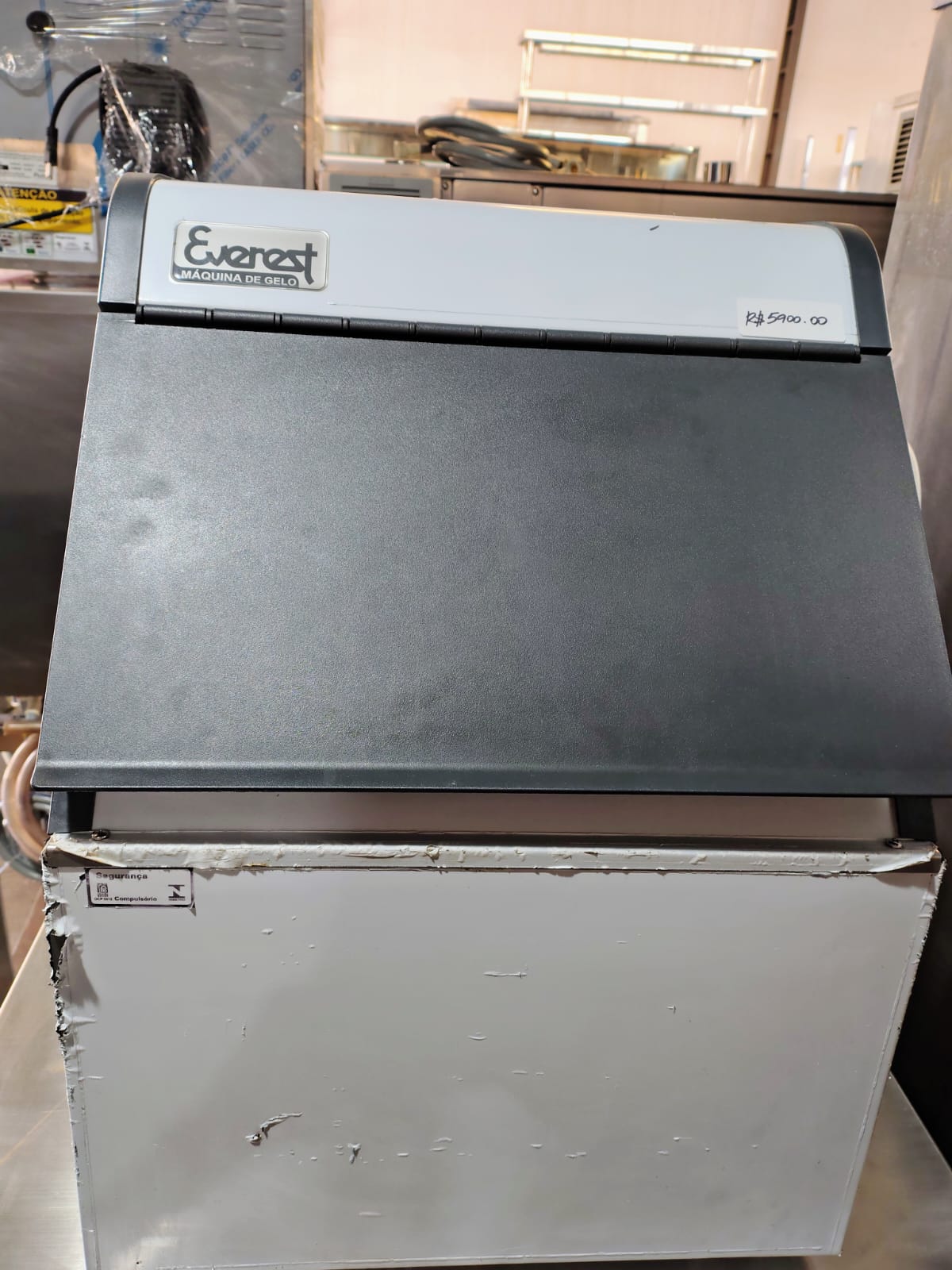 Máquina de Gelo Everest EGC 50 A