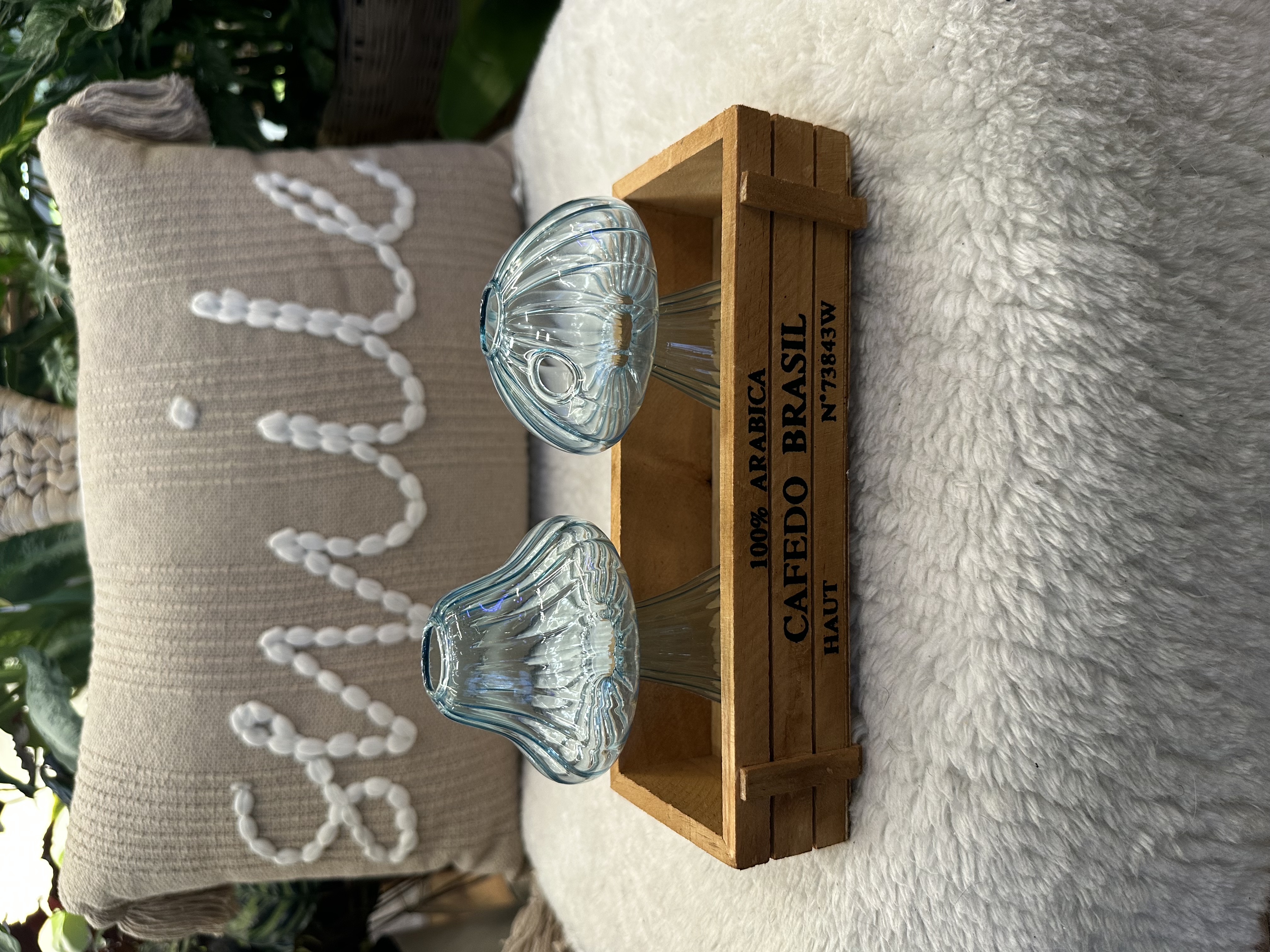 2pc Glass Mushroom Propagation Vase Sets
