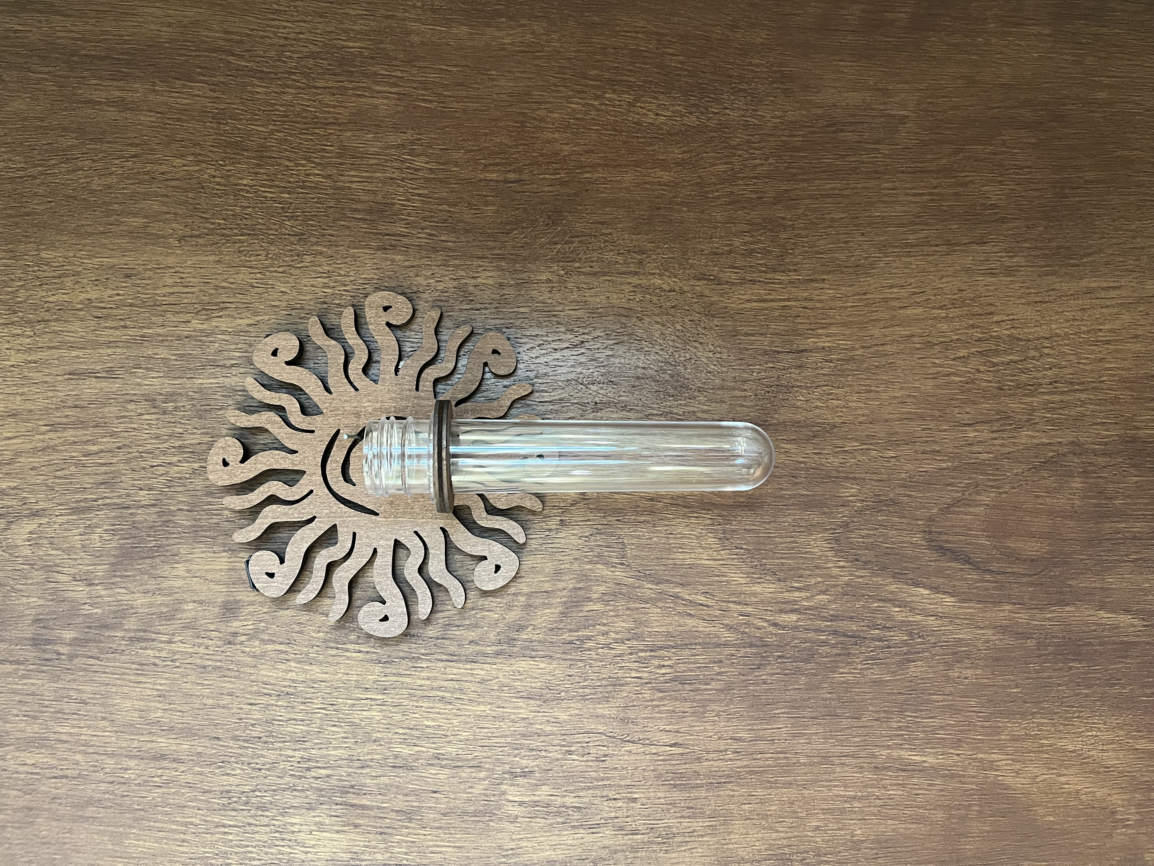 Sun Burst Propagation Vase