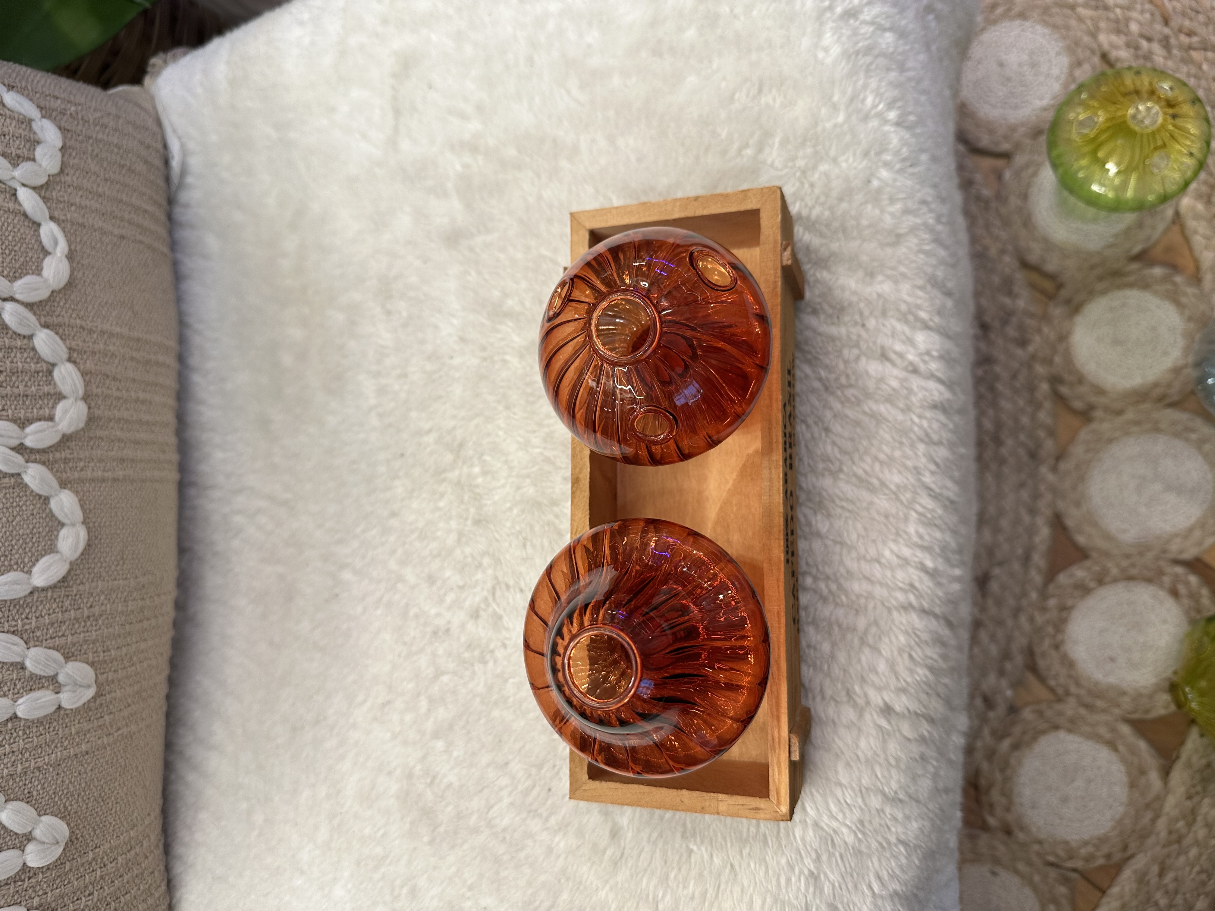 2pc Glass Mushroom Propagation Vase Sets
