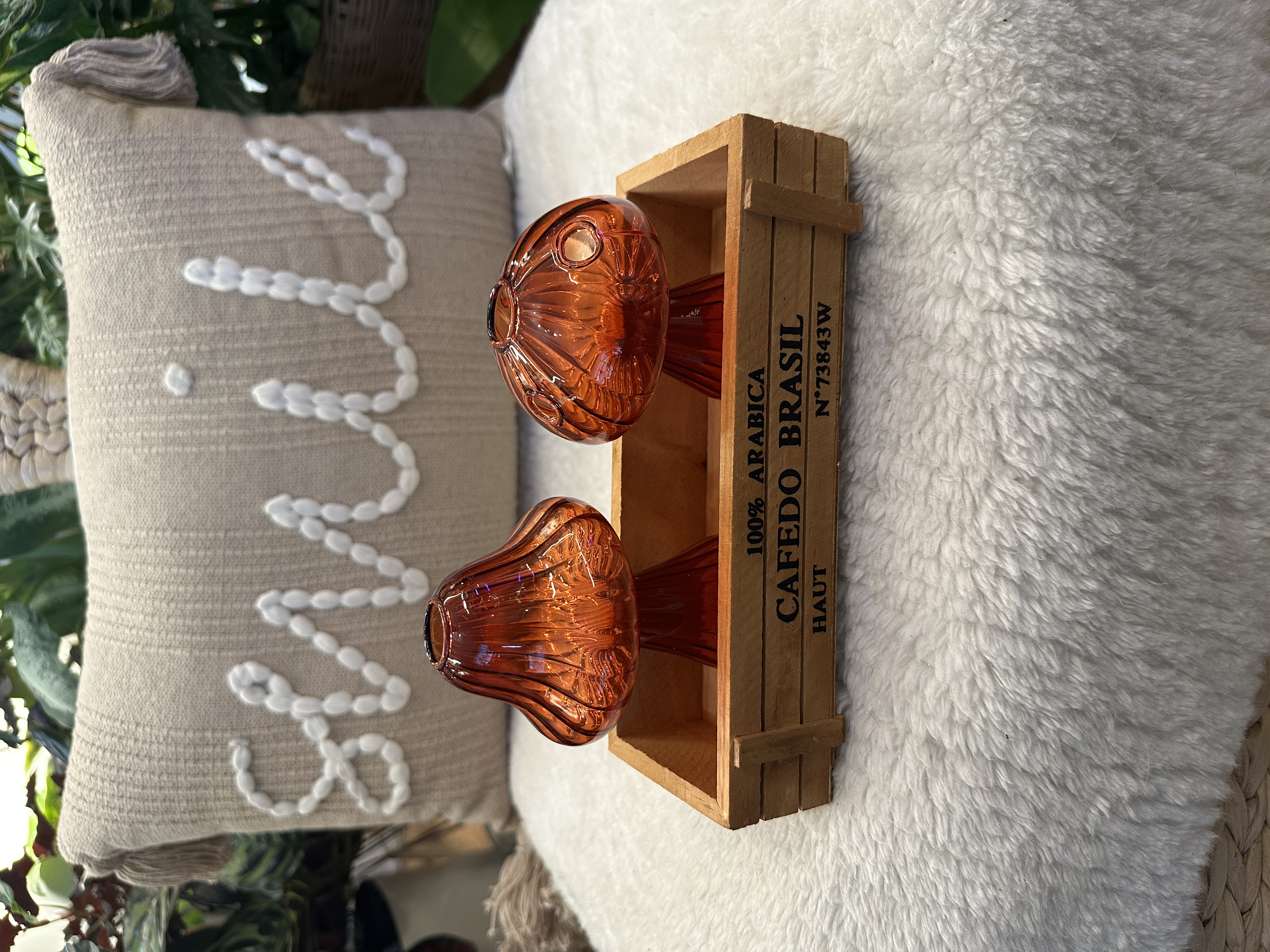 2pc Glass Mushroom Propagation Vase Sets