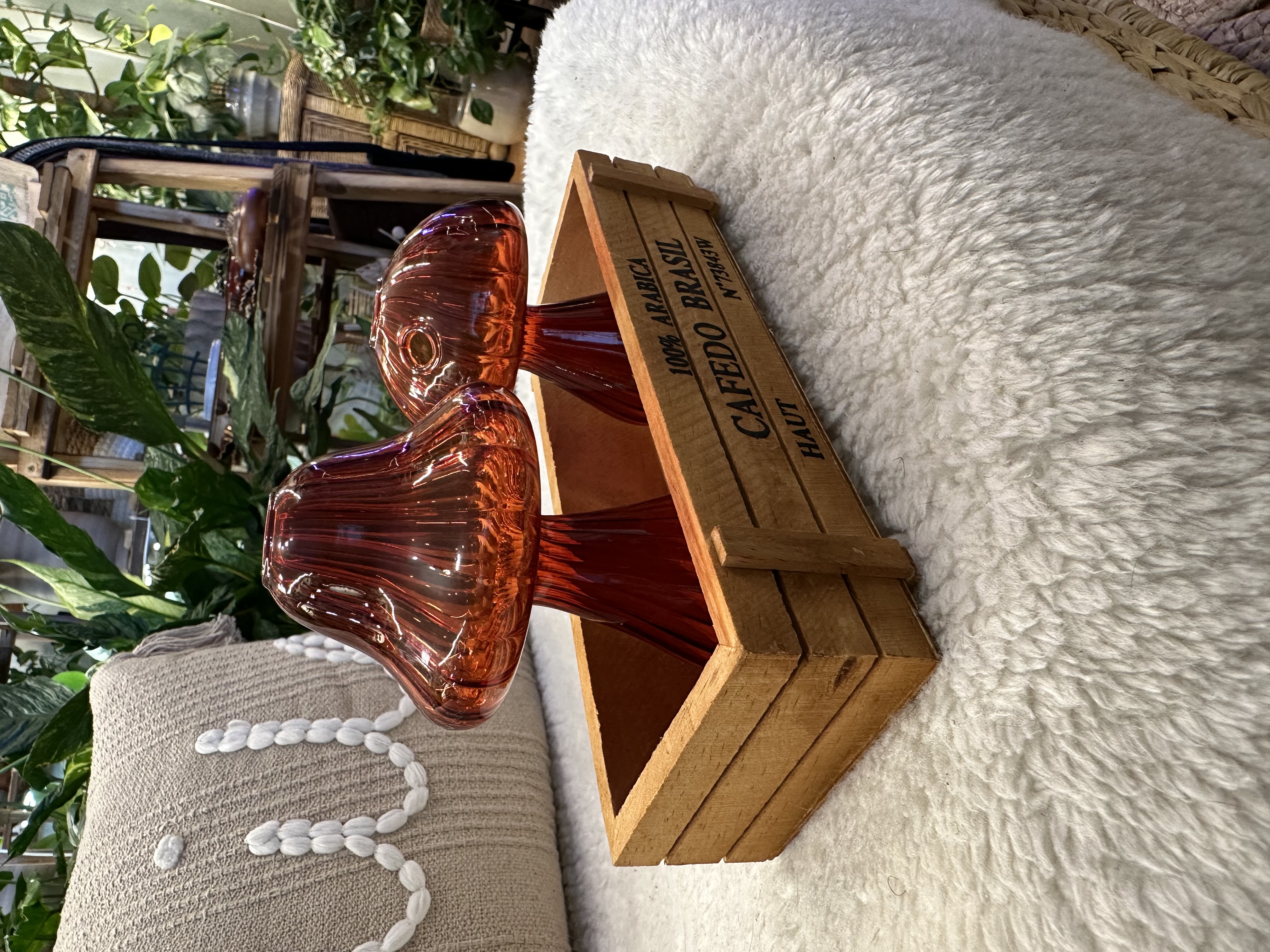 2pc Glass Mushroom Propagation Vase Sets