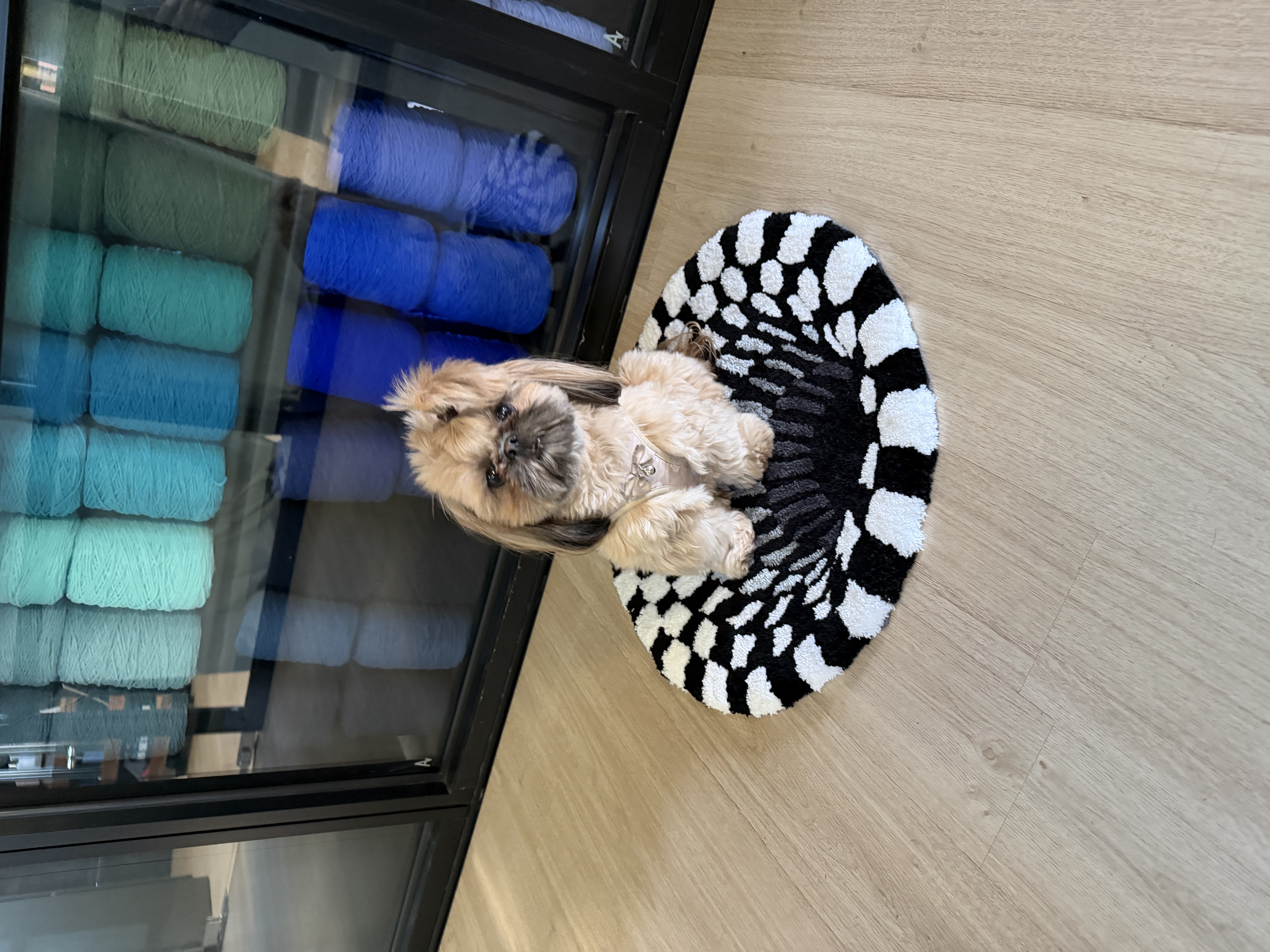 Saturday, January 24