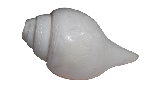 Best quality White Conch Shell (Sankh) 10inch long