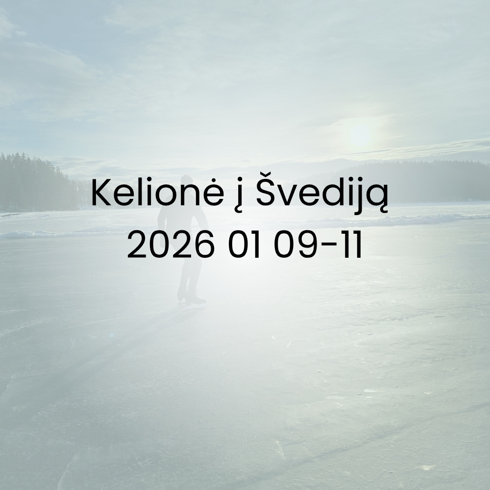 LEDOLINK kelionė į Švediją