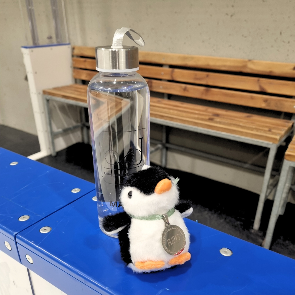 LEDOLINK talismanas FLIPAS