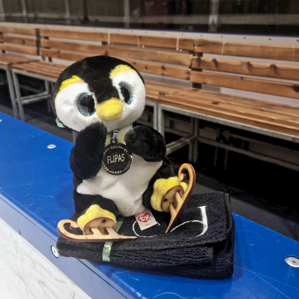 LEDOLINK talismanas FLIPAS