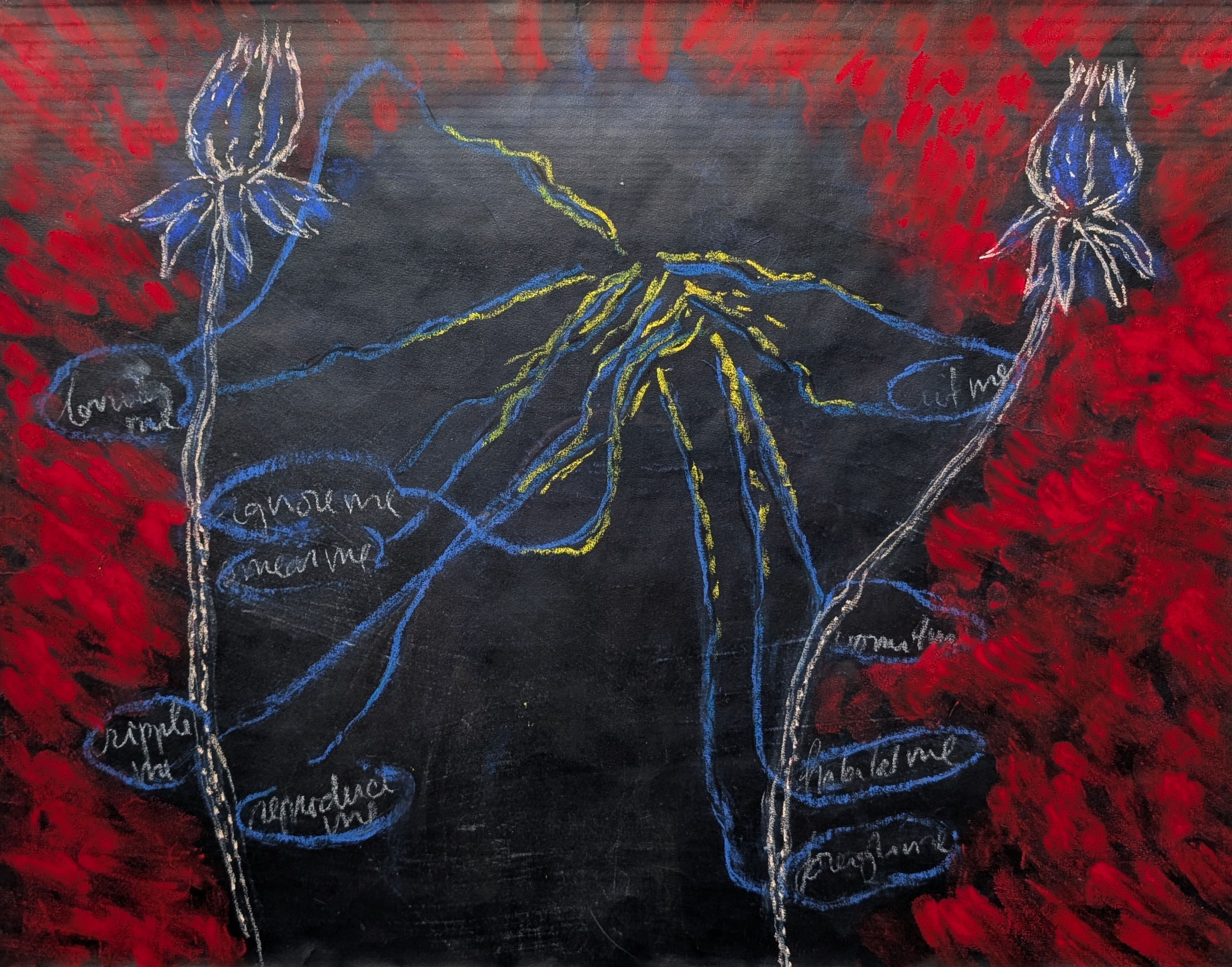 Frank van Hemert, Secret Survivors 1995/1998