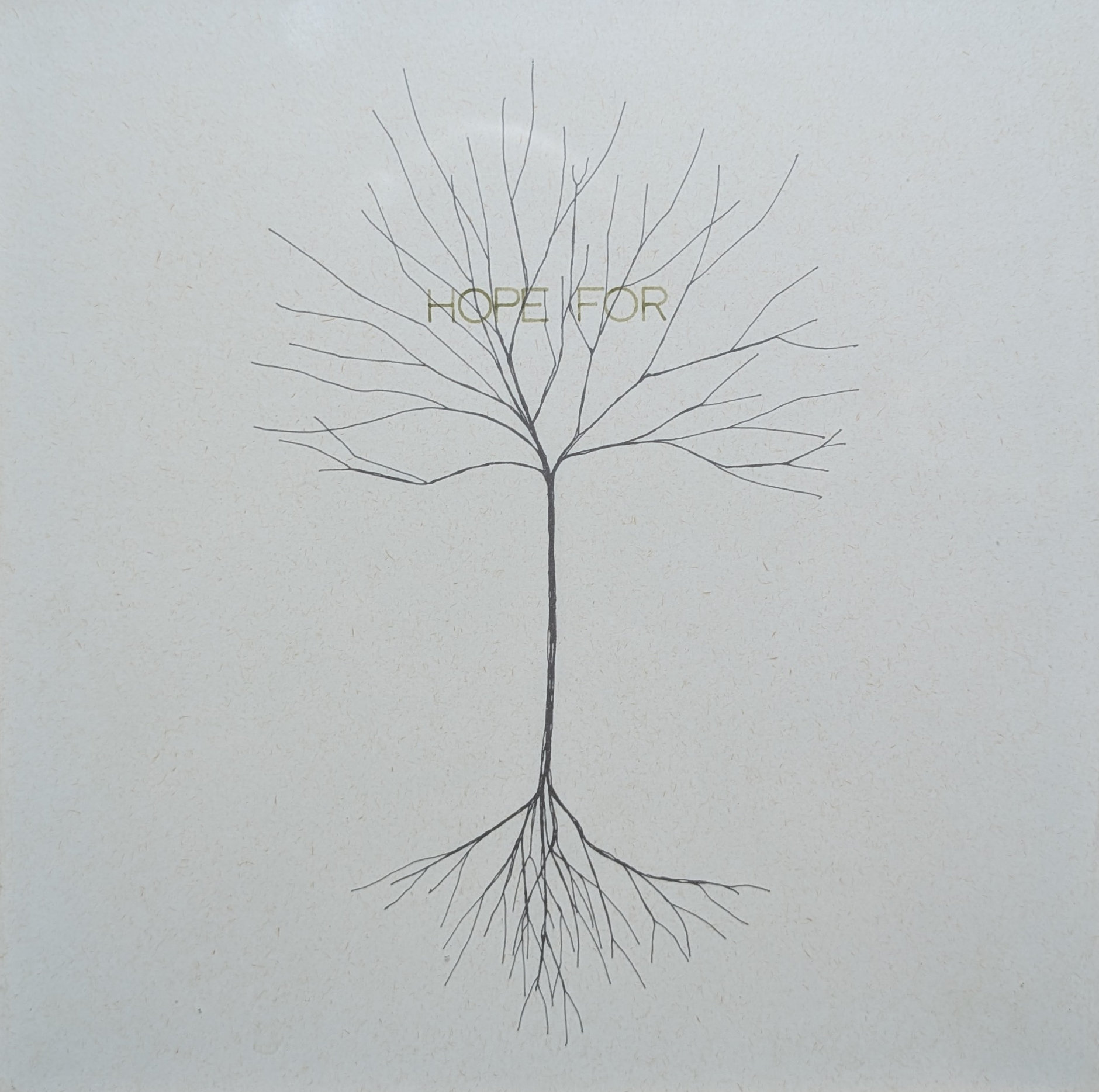 Robert Barry,  Hope for