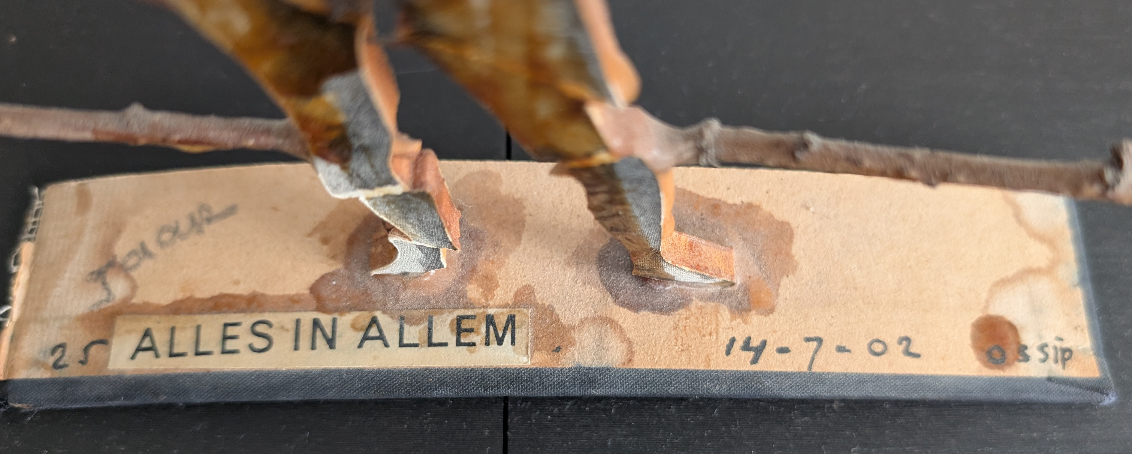 Ossip, Alles in Allem, figure, 2002
