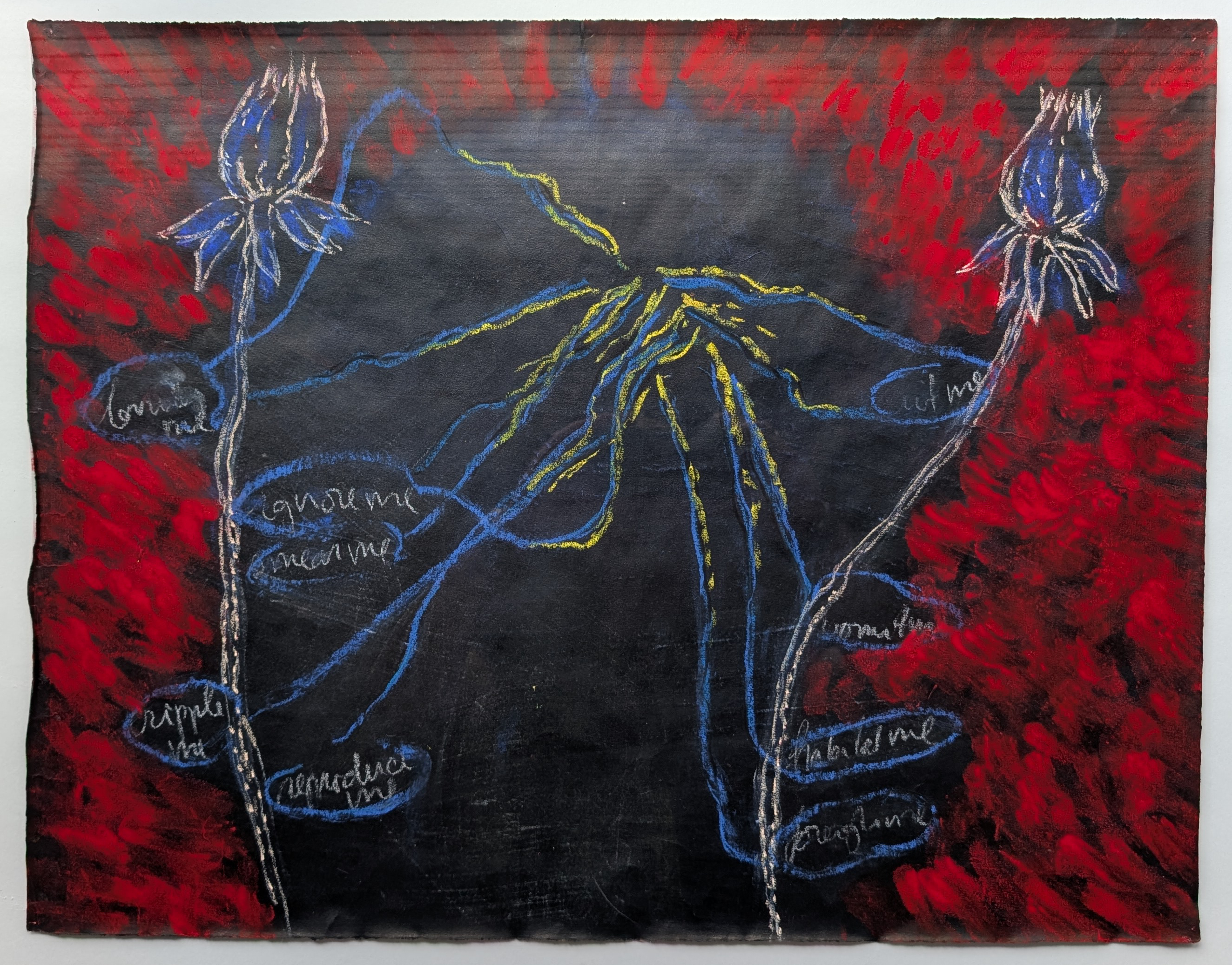 Frank van Hemert, Secret Survivors 1995/1998