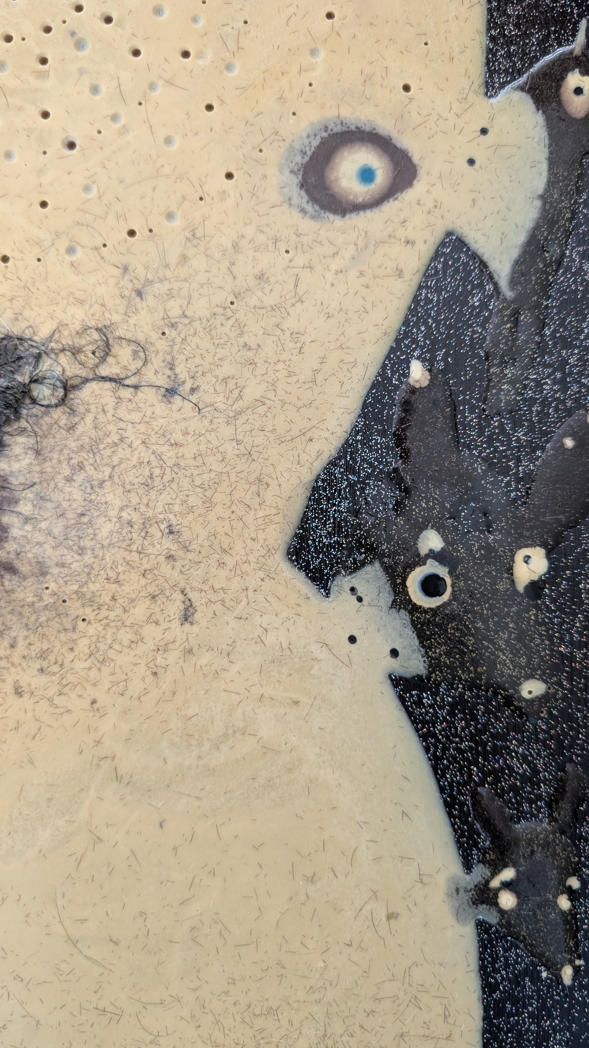 Vittorio Roerade, Strange Creature, 2005