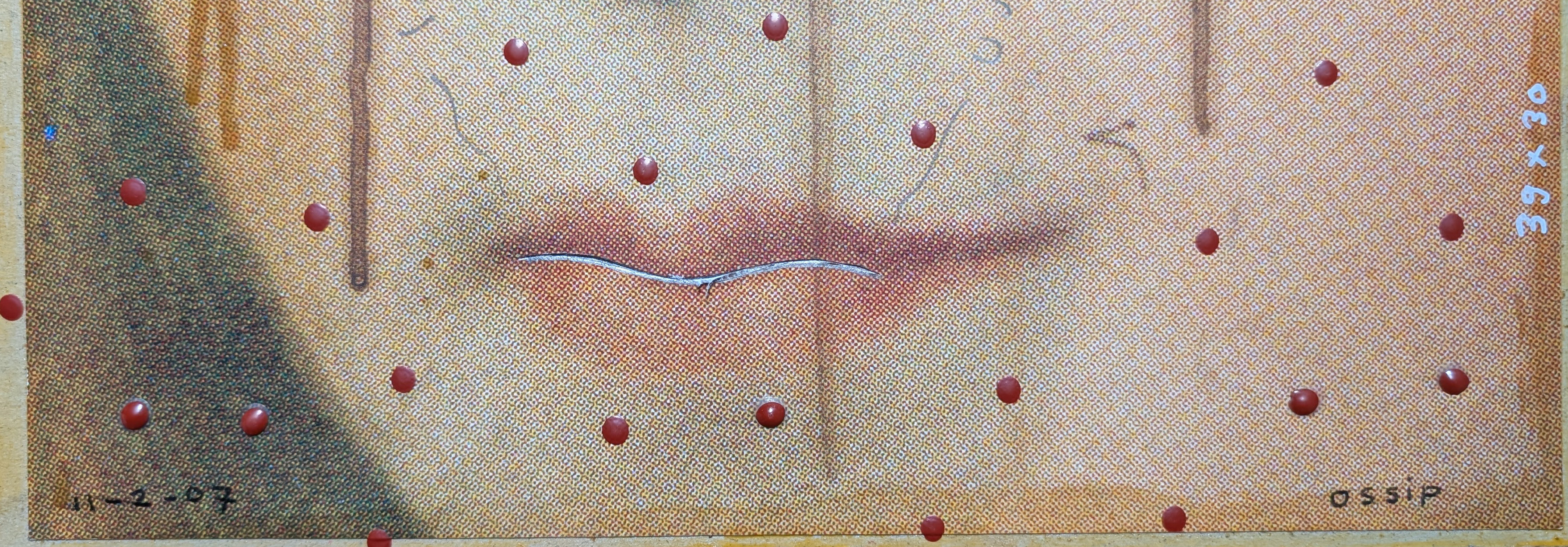 OSSIP, K.R.A, 2007