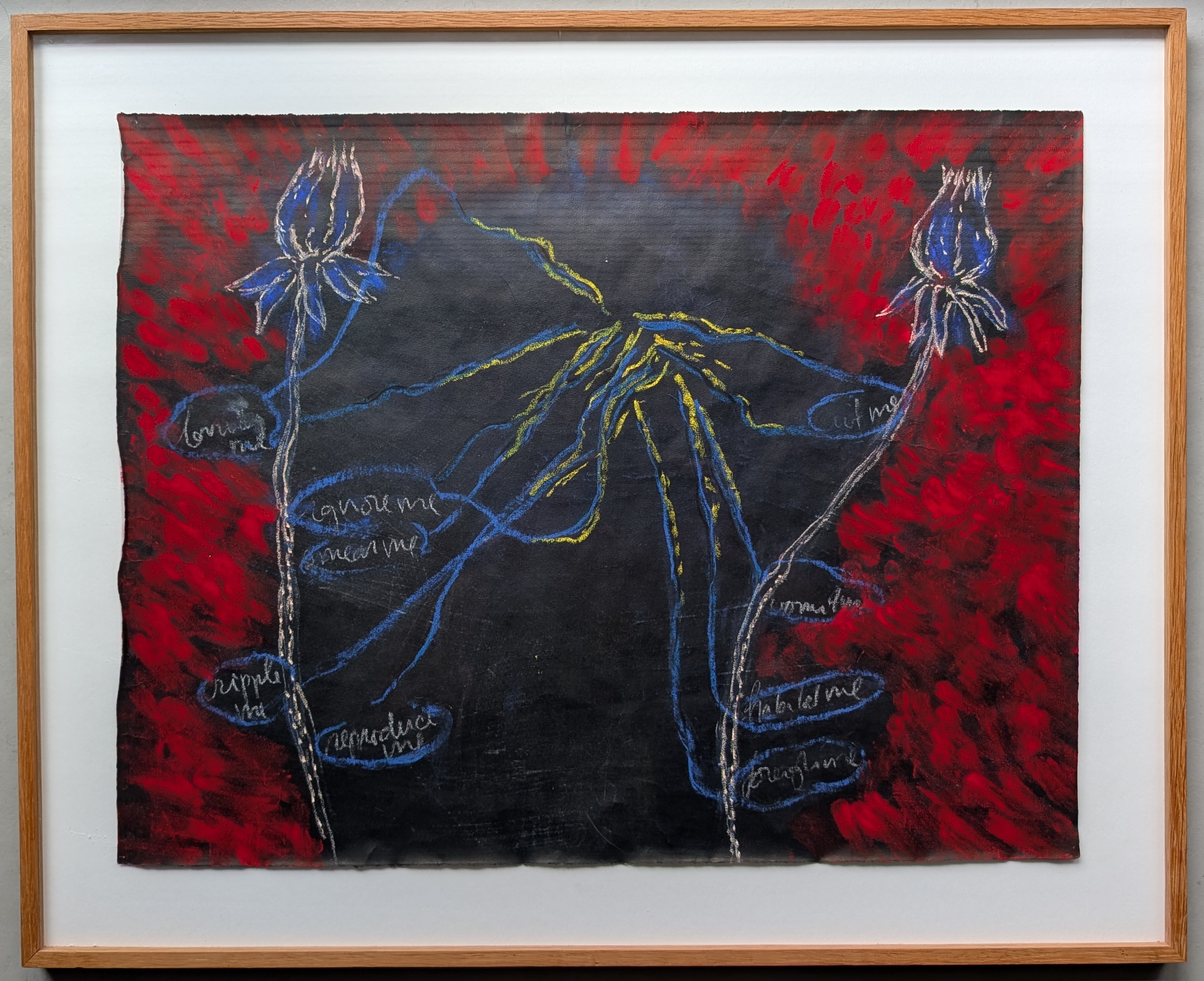 Frank van Hemert, Secret Survivors 1995/1998