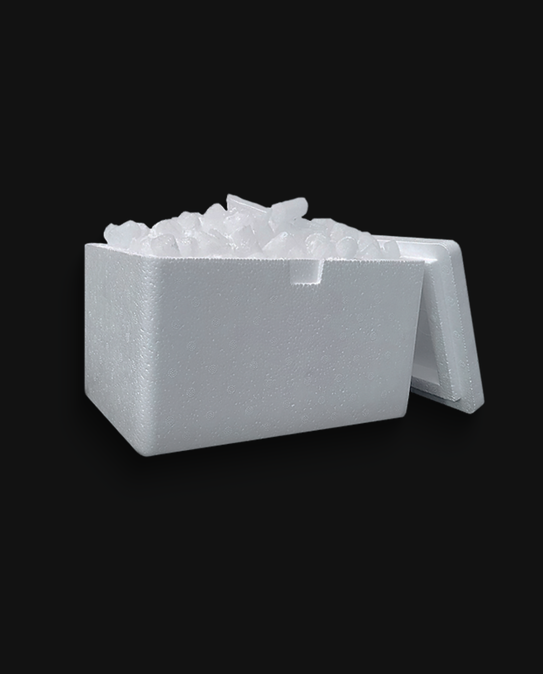 Caixa Térmica de Isopor