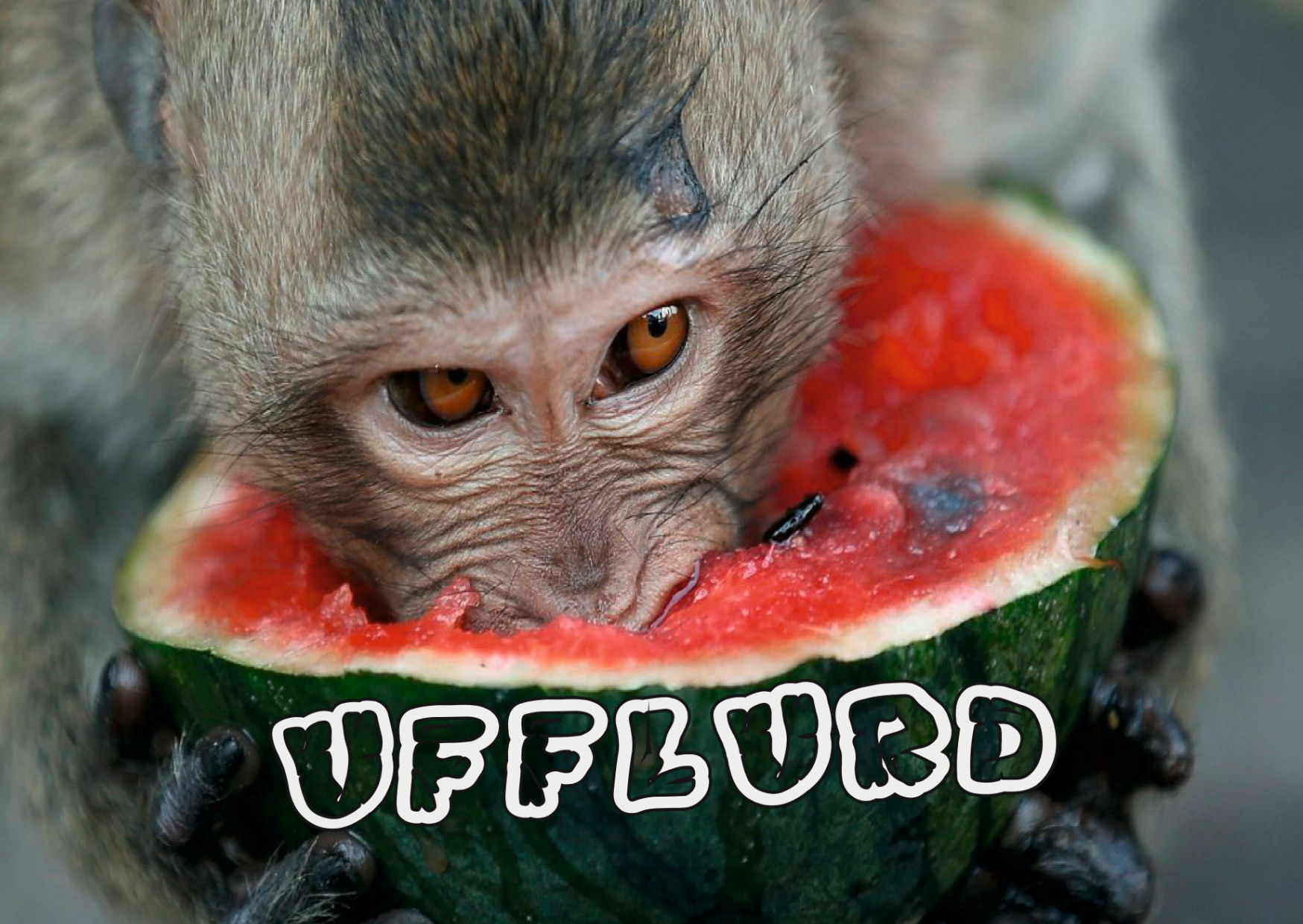 Ufflurd • Grimmicher Postkarte A6