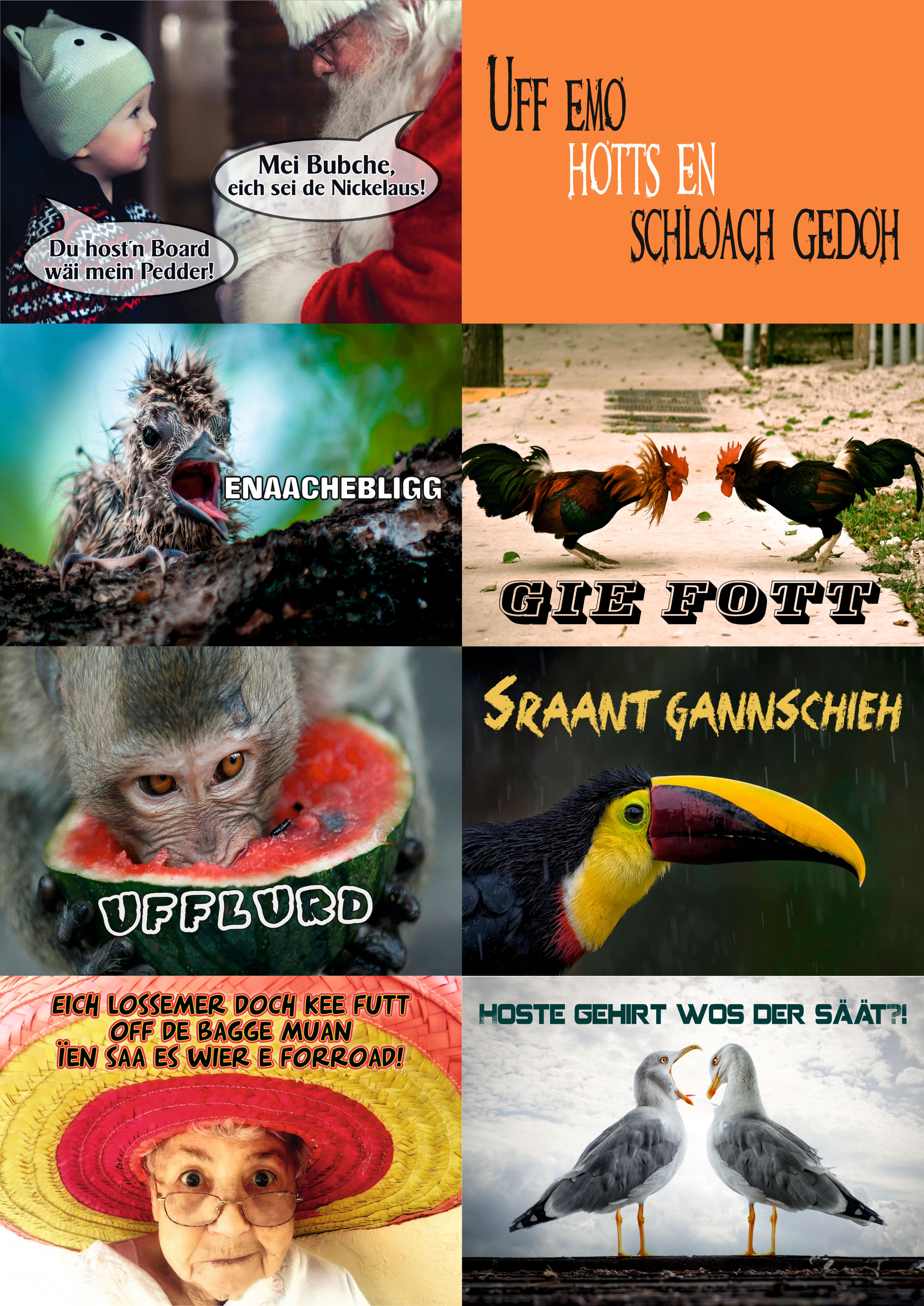 Grimmicher Mundart-Postkarten SET#2 – „So schwasst mer bei ihs!“