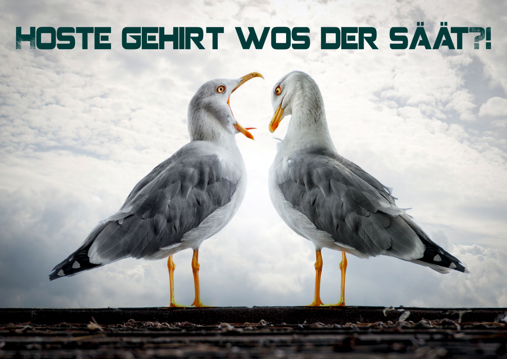 Hoste gehirt wos der säät • Grimmicher Postkarte A6