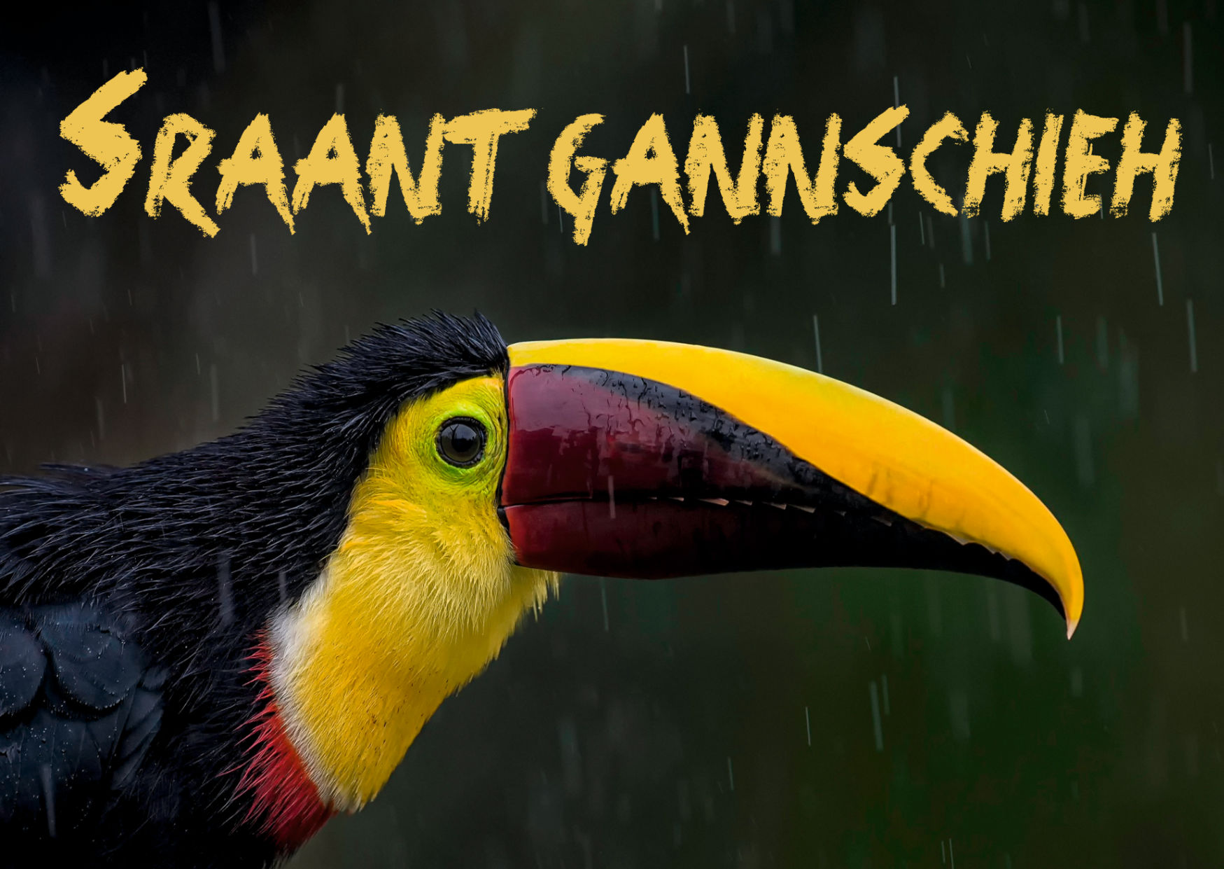 Sraant gannschieh • Grimmicher Postkarte A6