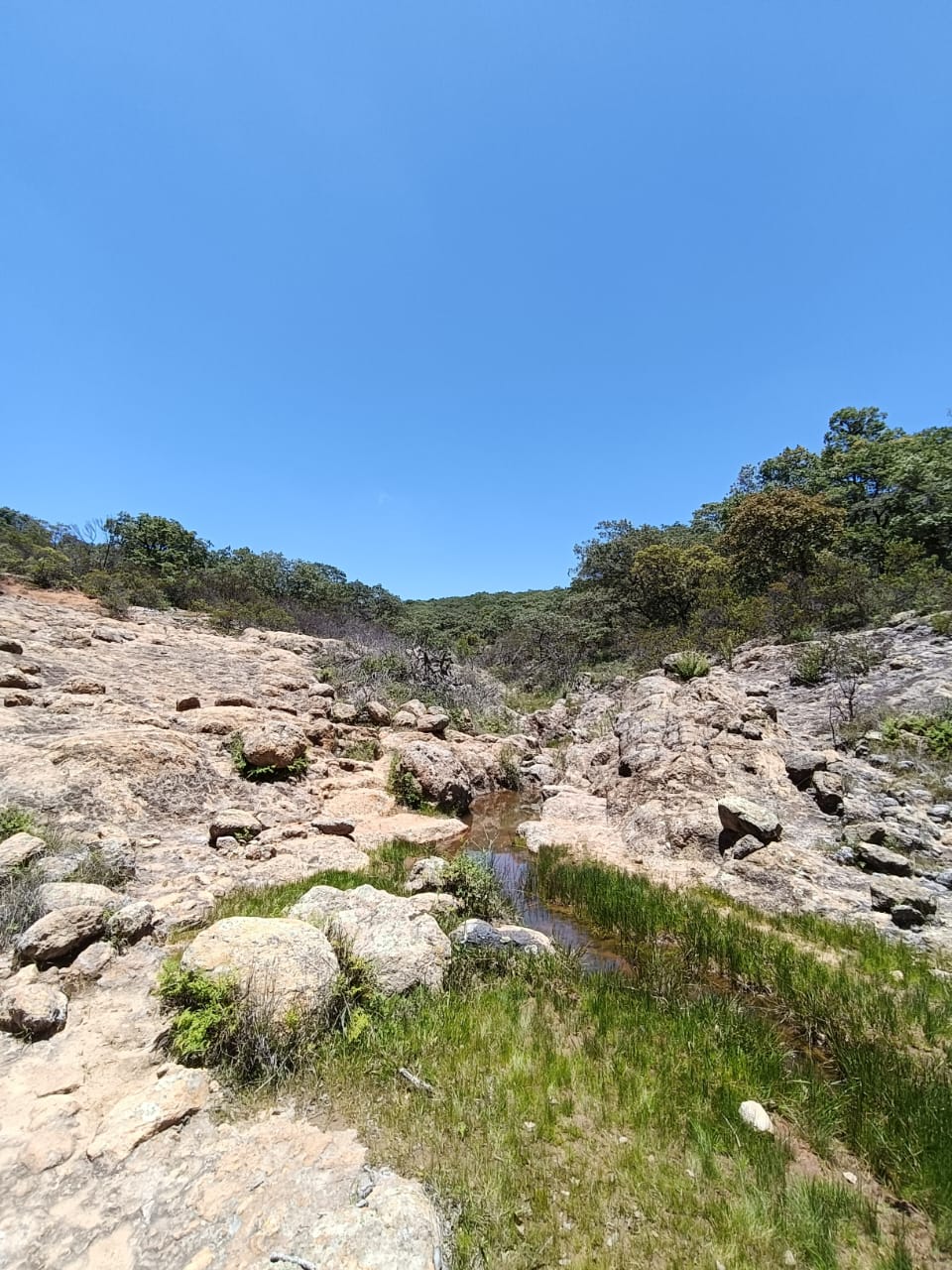 Hectáreas en venta Municipio de Huimilpan Querétaro