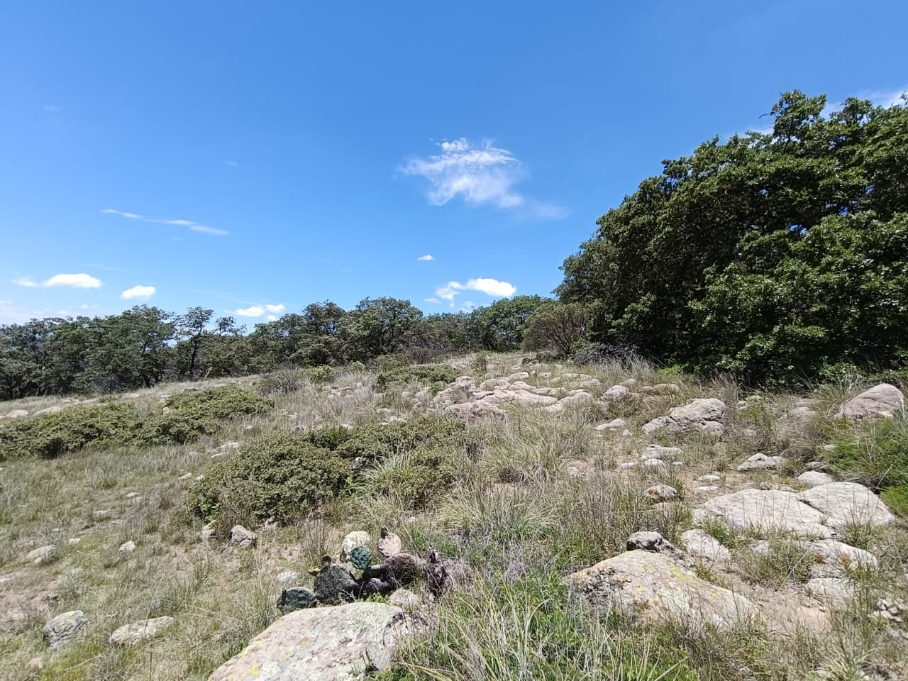 Hectáreas en venta Municipio de Huimilpan Querétaro