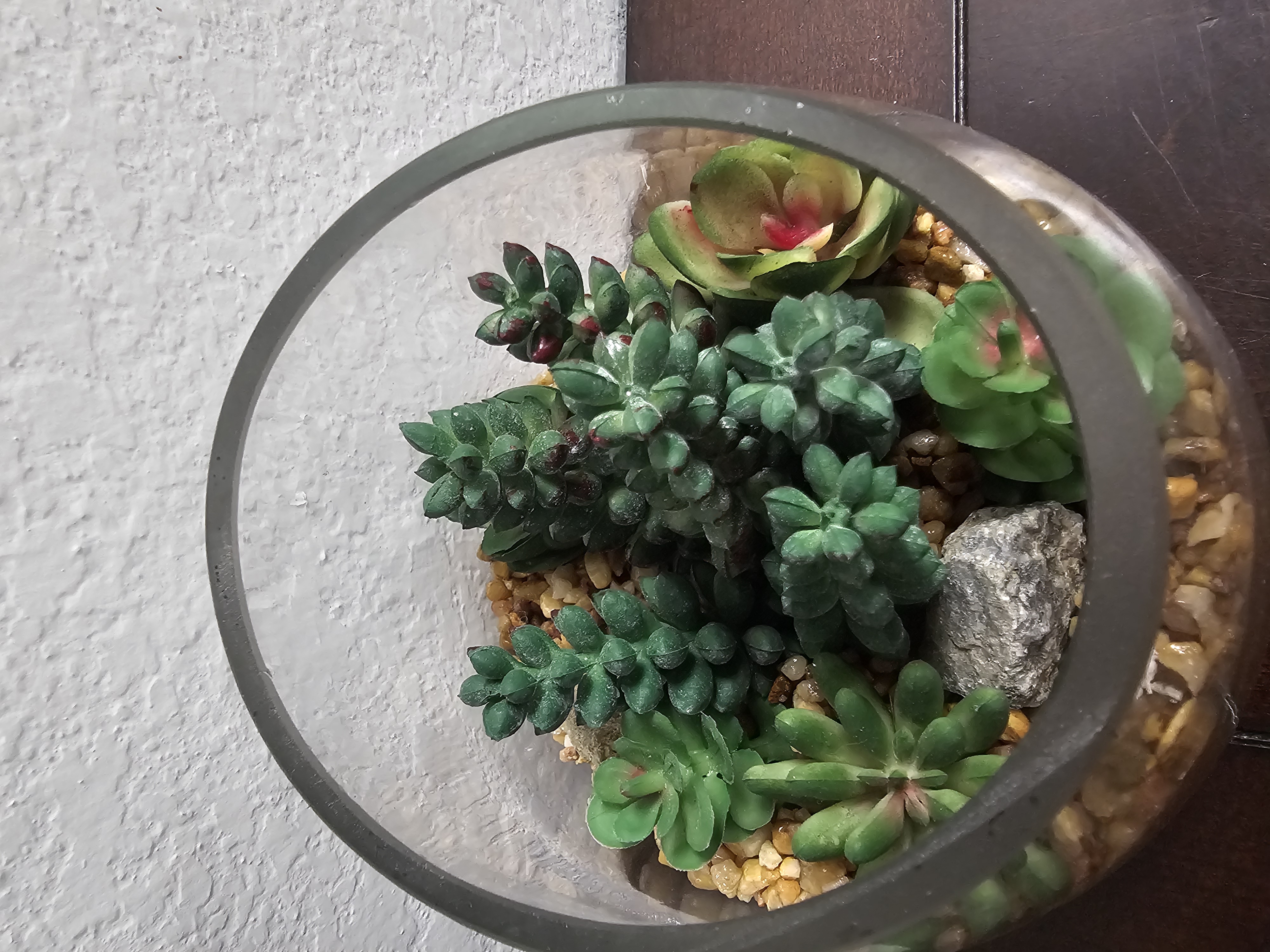 Succulent Glass Terrarium