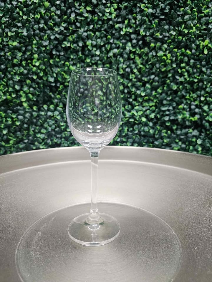 Elegant Wine Glass