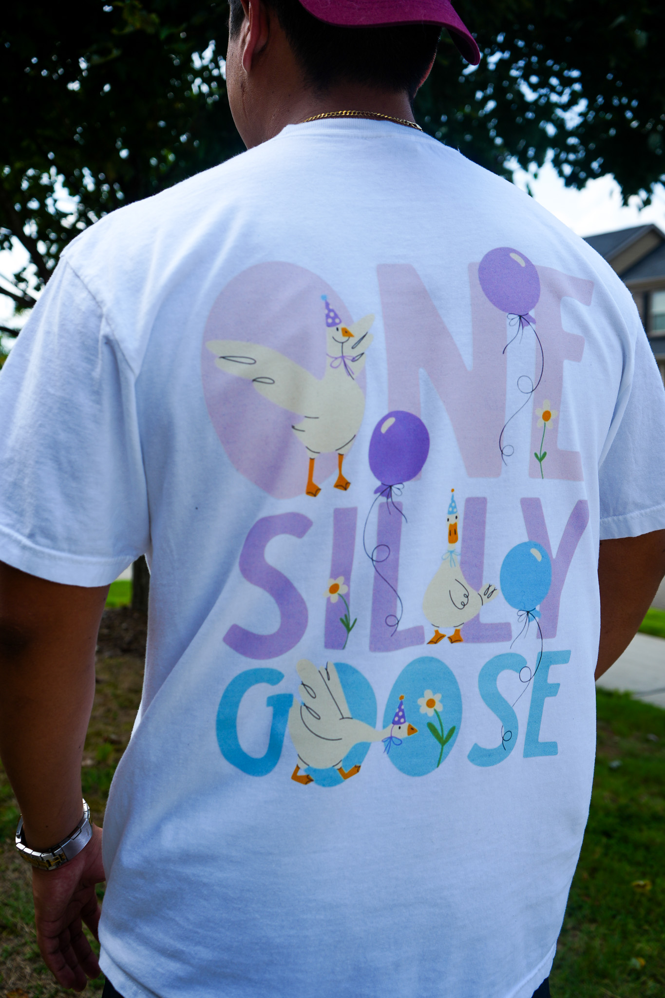 One Silly Goose
