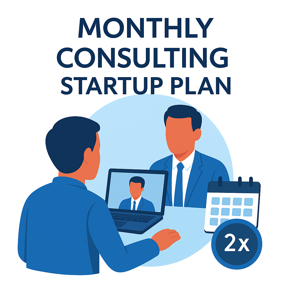 Monthly Consulting Package: Startup Plan