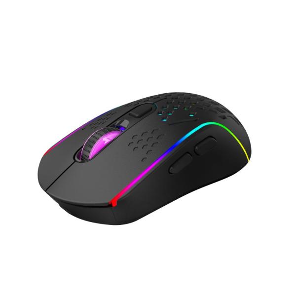 Wireless RGB Gaming Mouse