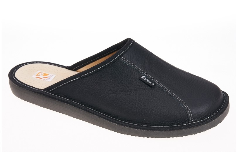 Vyriškos odinės šlepetės "Bosaco"