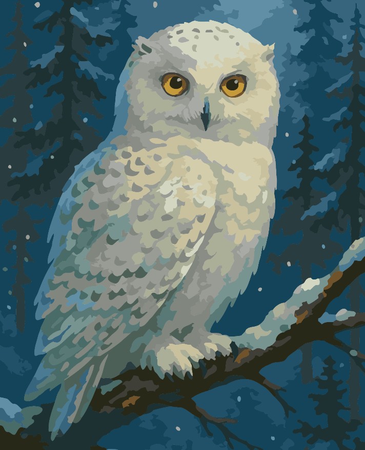 Tapyba pagal skaičius "Nakties išmintis" 