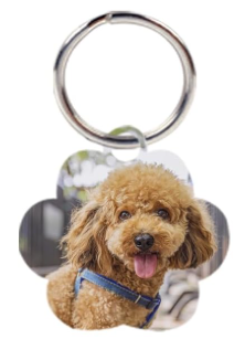 Placas identificadoras para mascotas