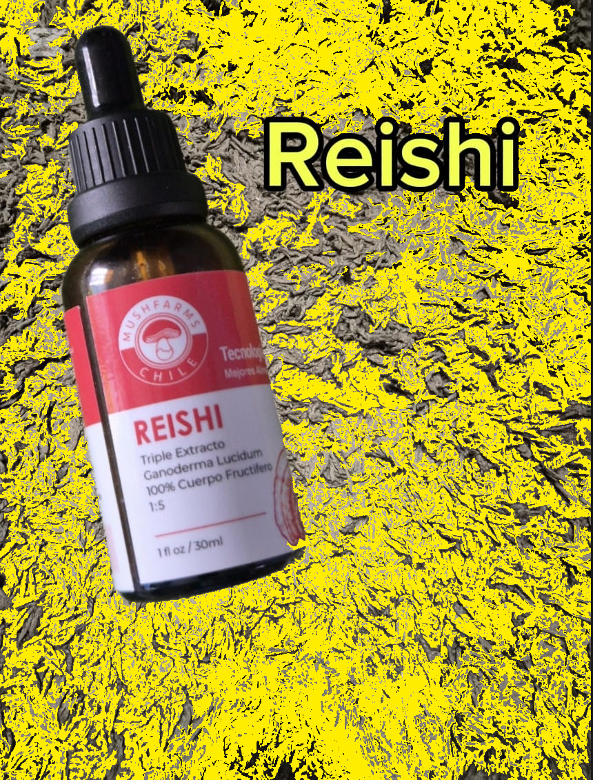Extracto de Reishi