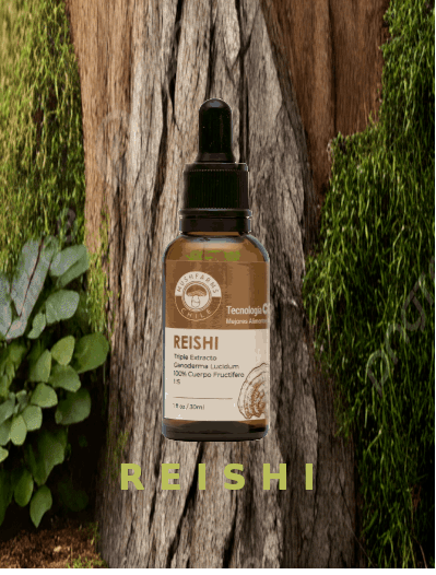 Extracto de Reishi