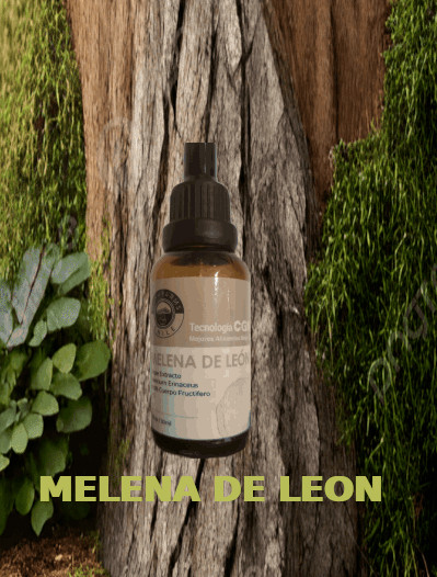Melena de León
