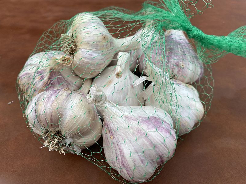 Red Toch bulbs, organic