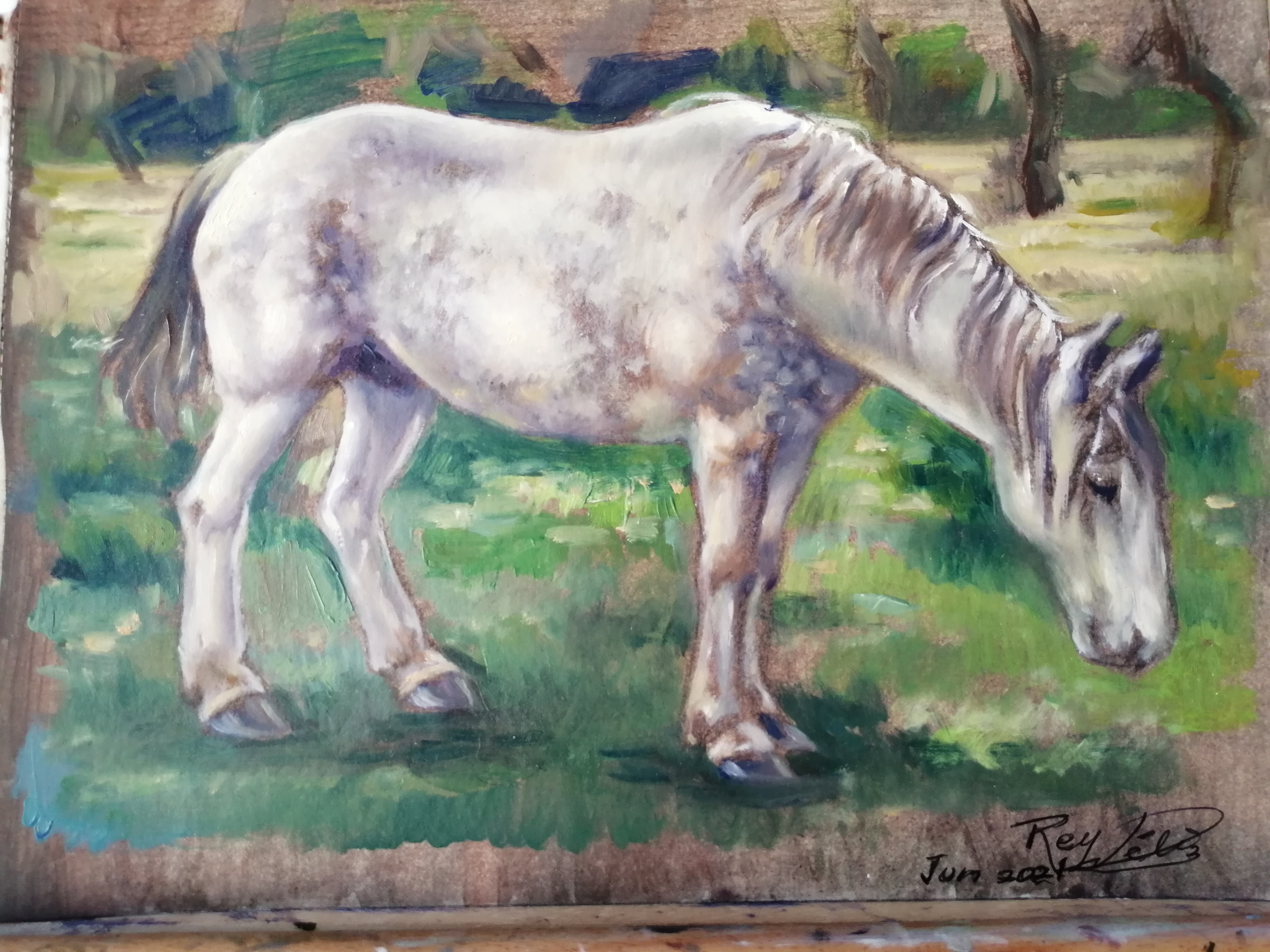 ESTUDIO DE YEGUA PASTANDO