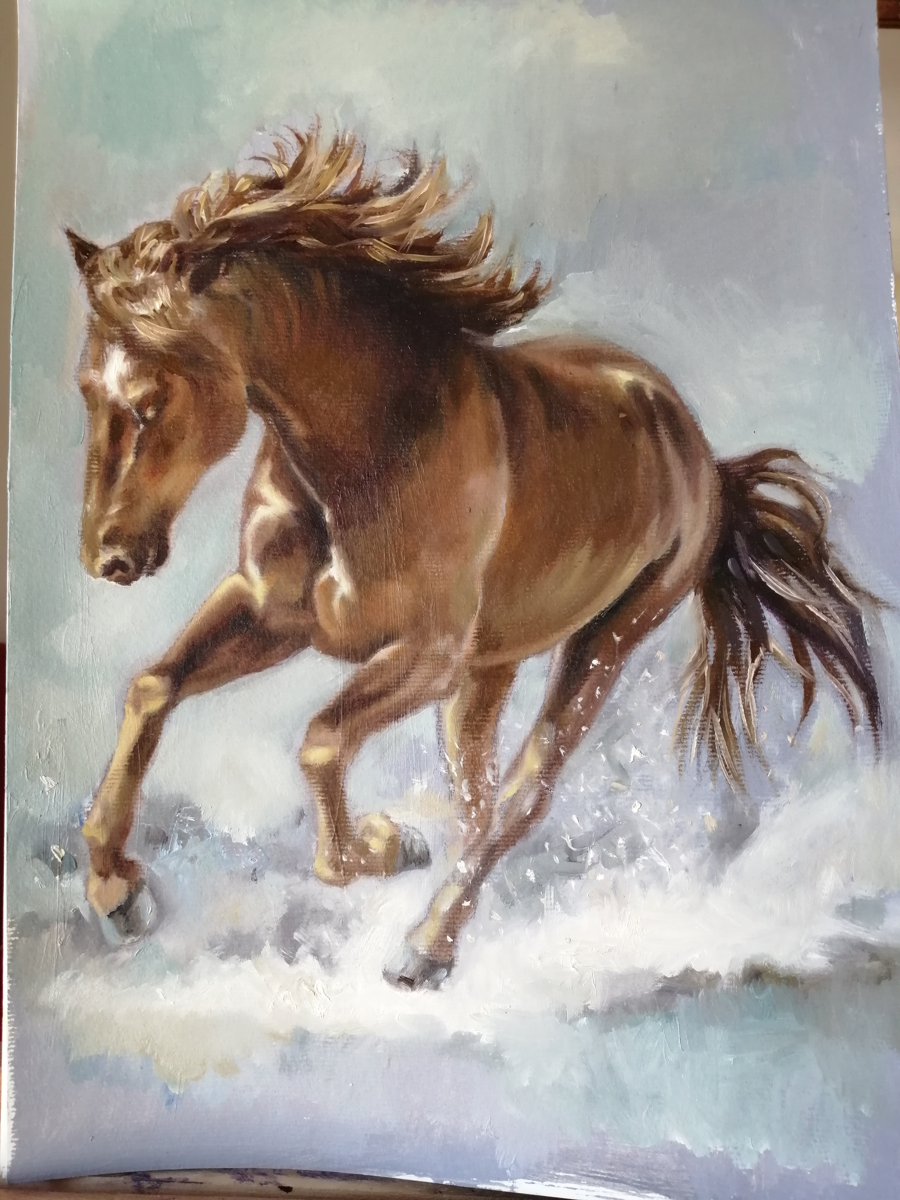 AL GALOPE POR LA PLAYA