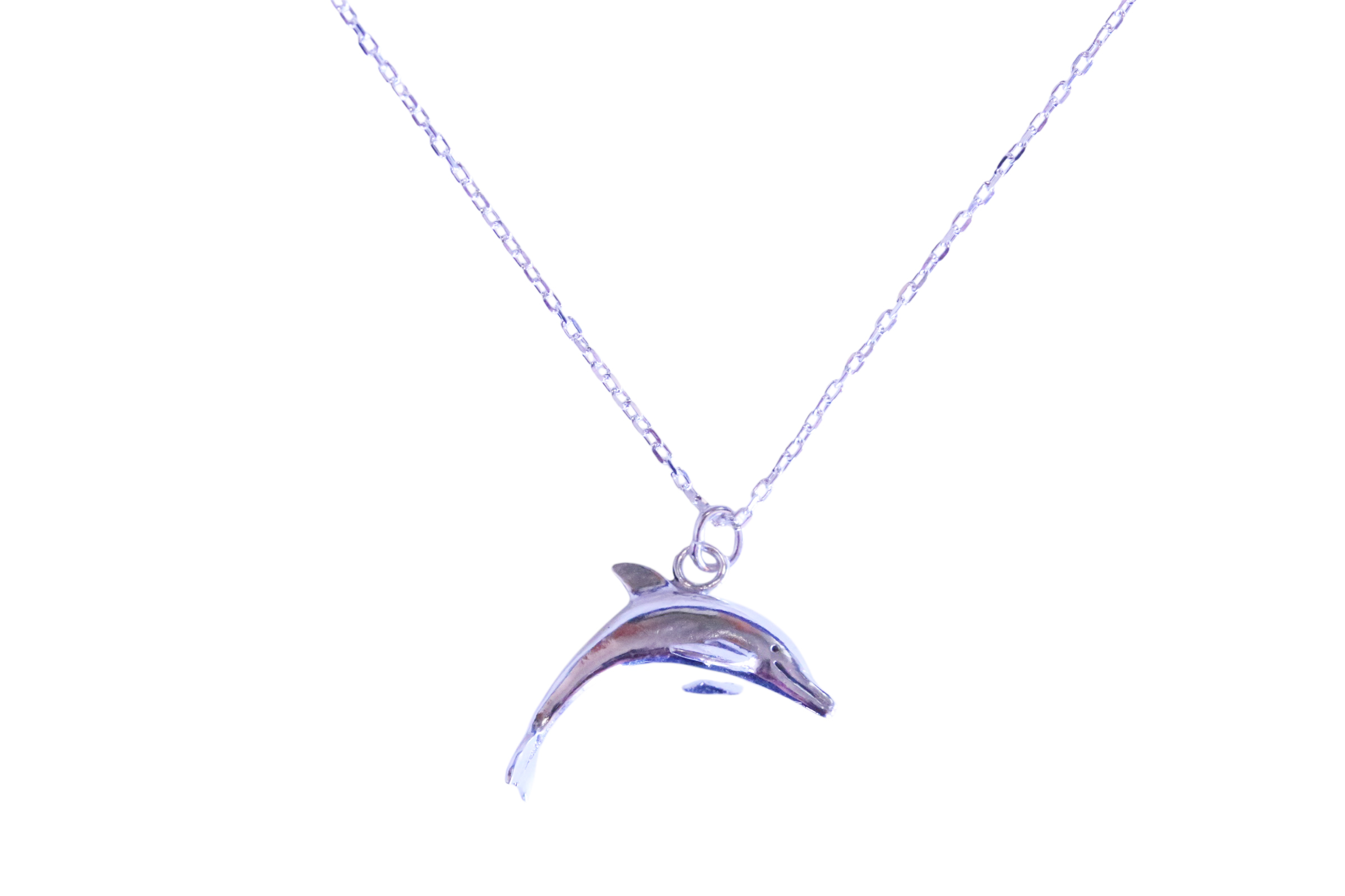  Bottlenose Dolphin Pendant with Chain
