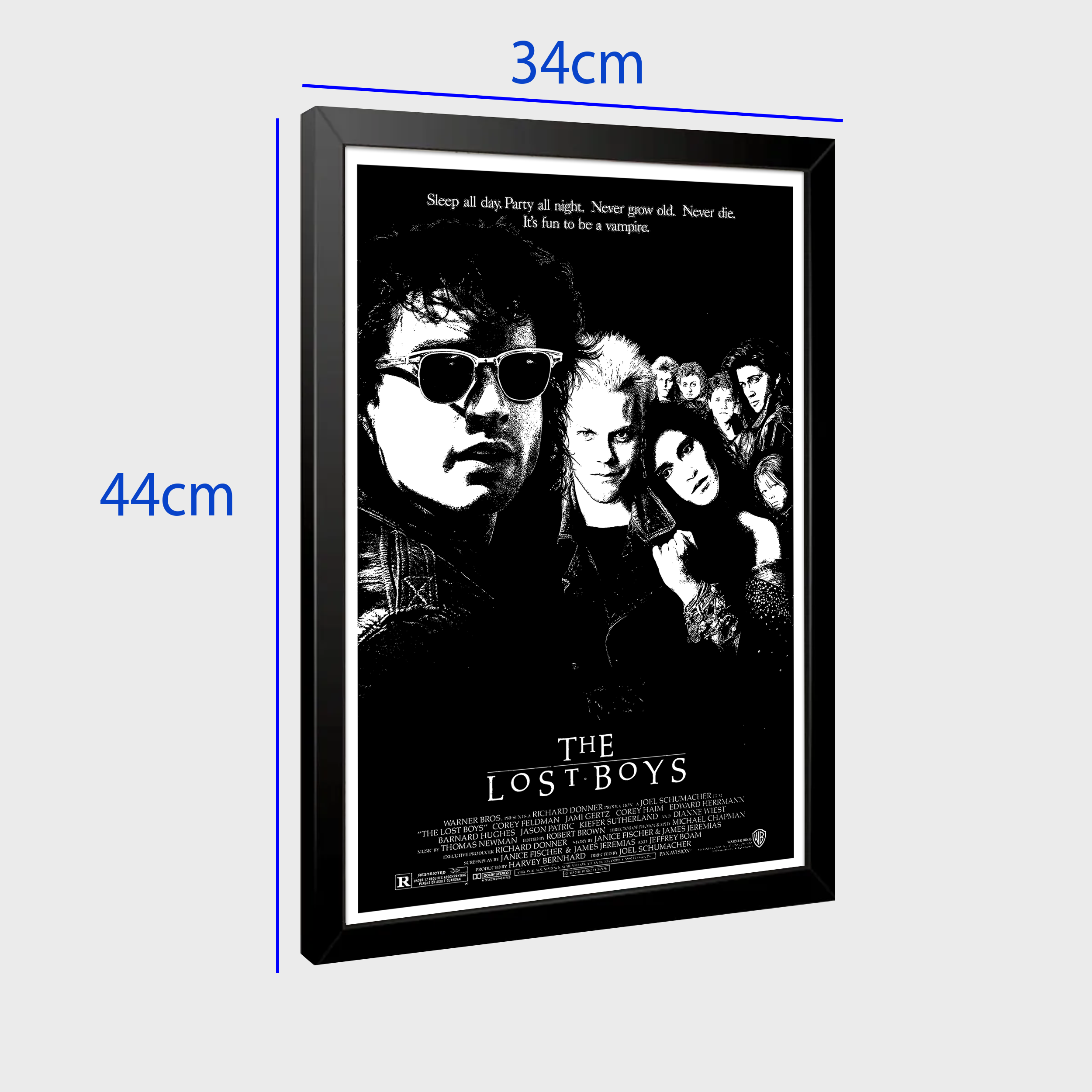 Quadro Garotos Perdidos