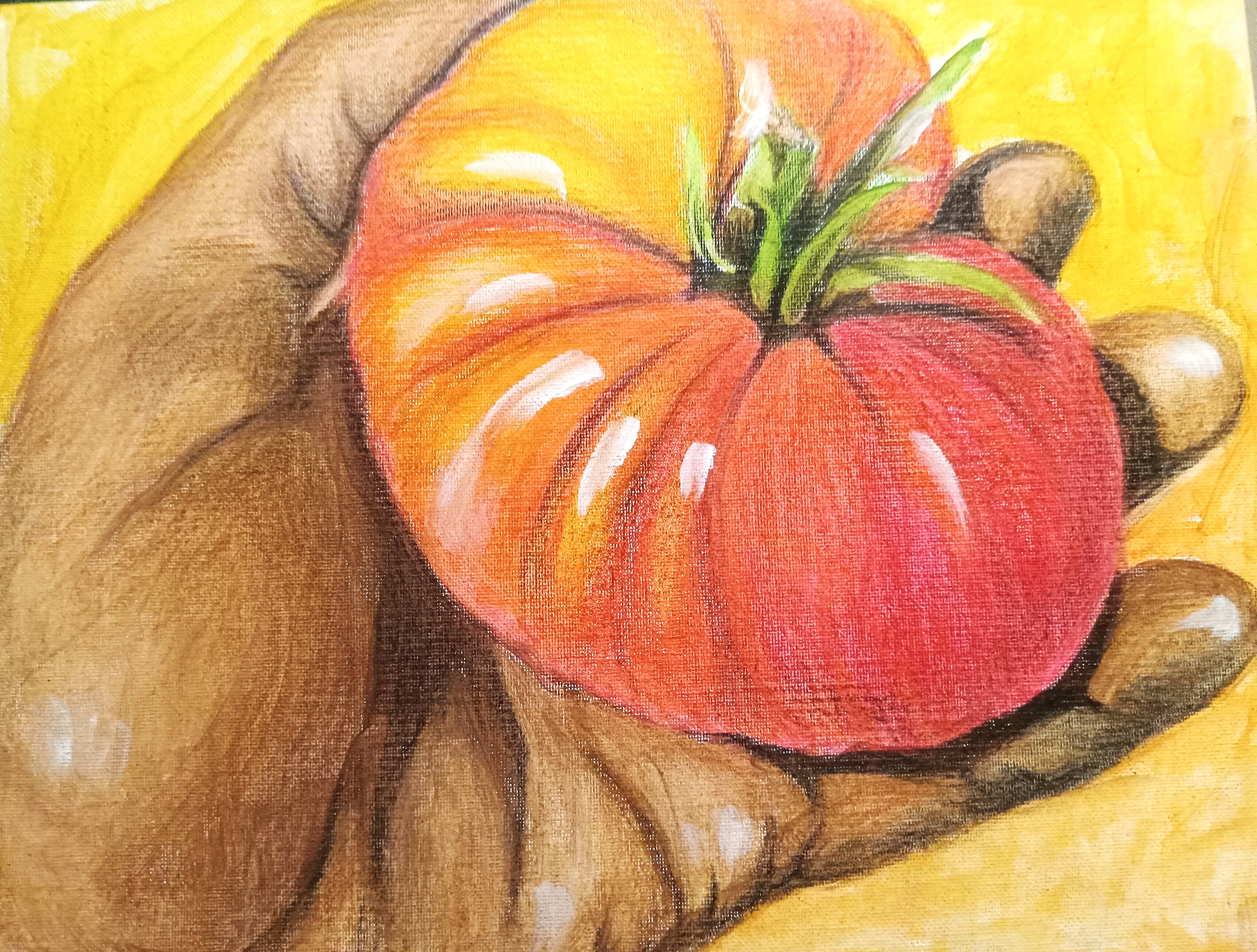 Red Ripe Bush Tomato
