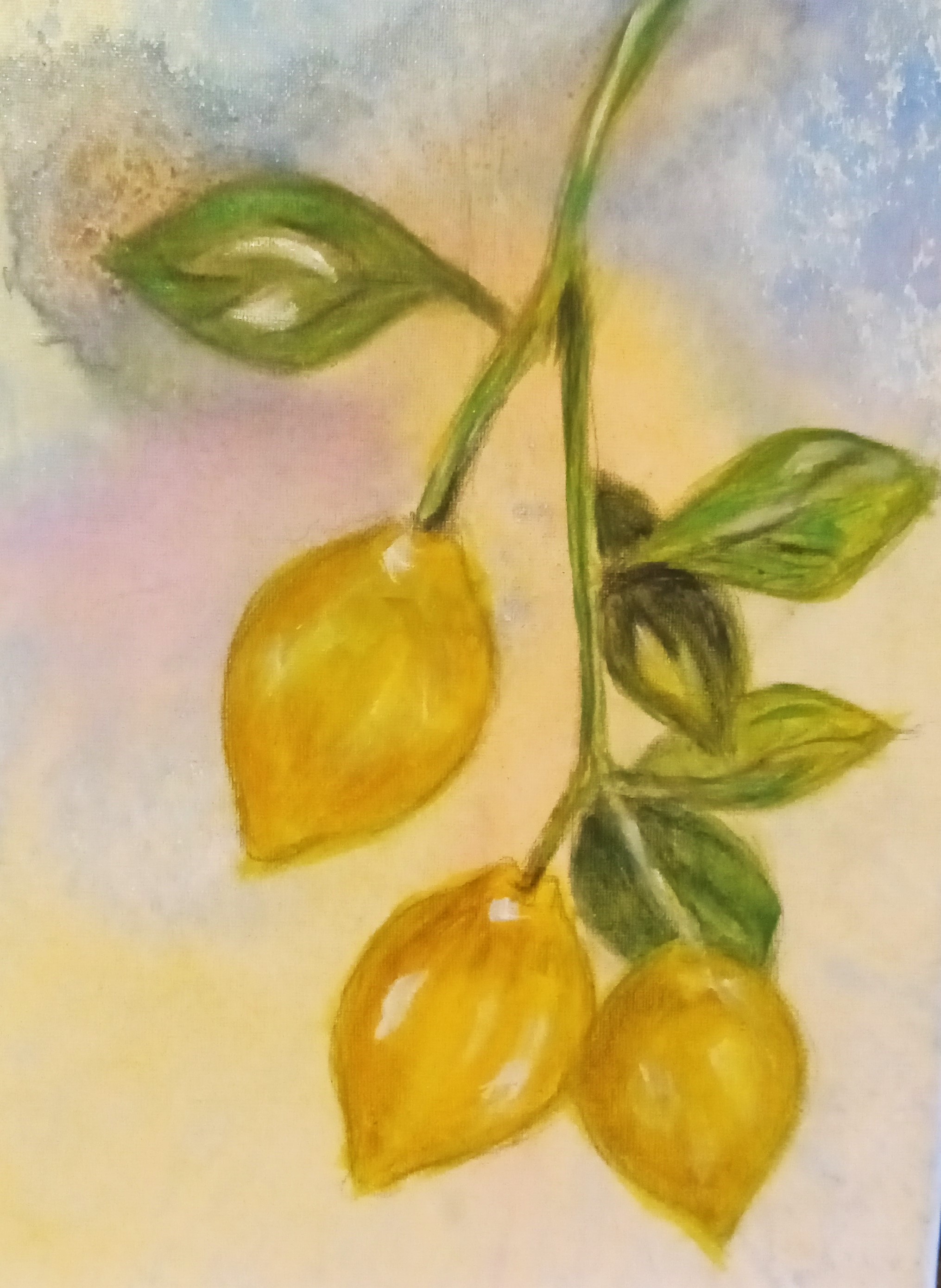 Lemons on the Branch