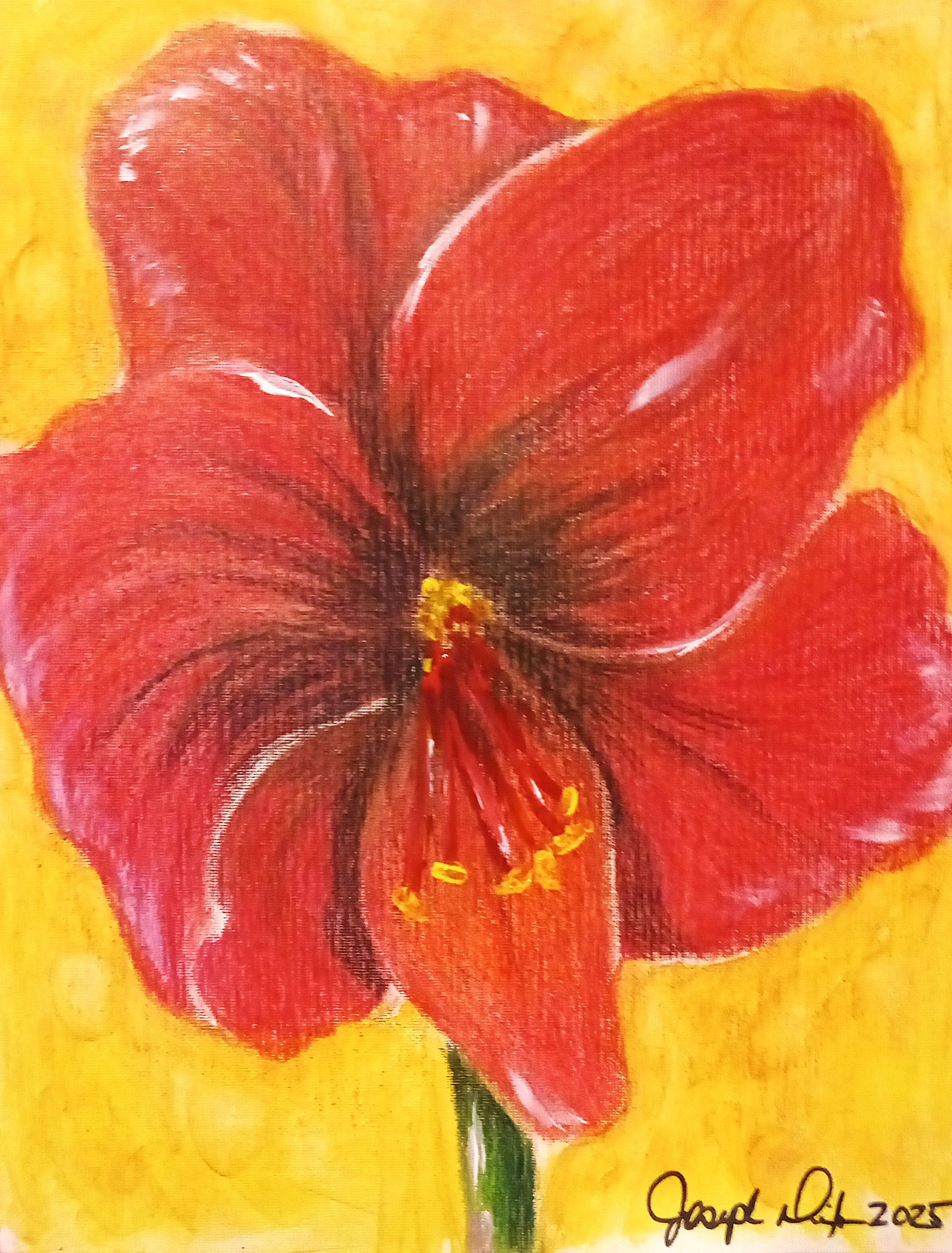 Red Lilly