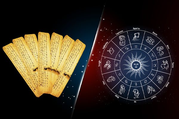 Astrology and Vastu Consultation Services