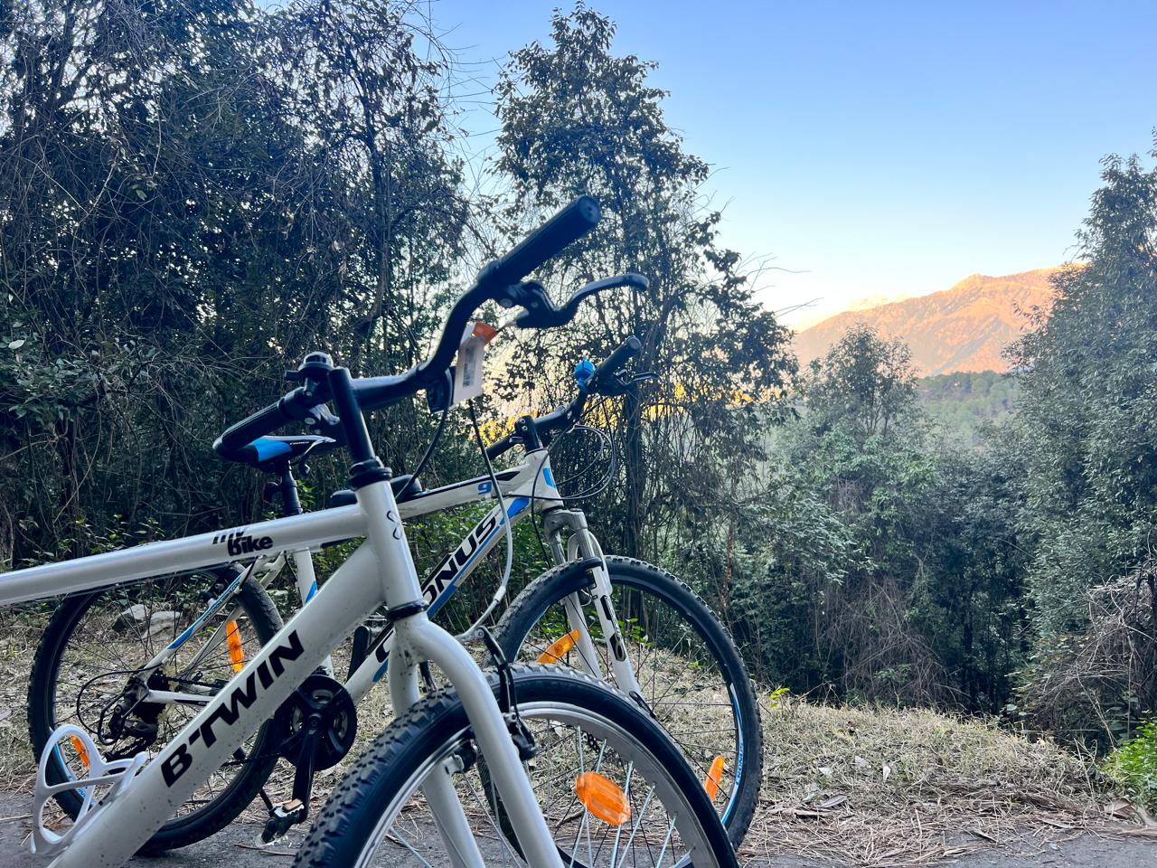 Mountain Cycling