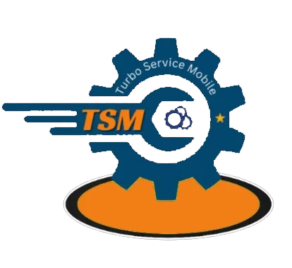 Licencia TSM Tool PRO