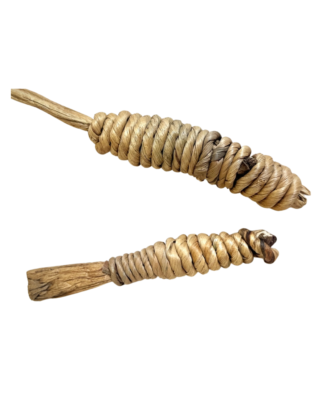 Double Carrot 